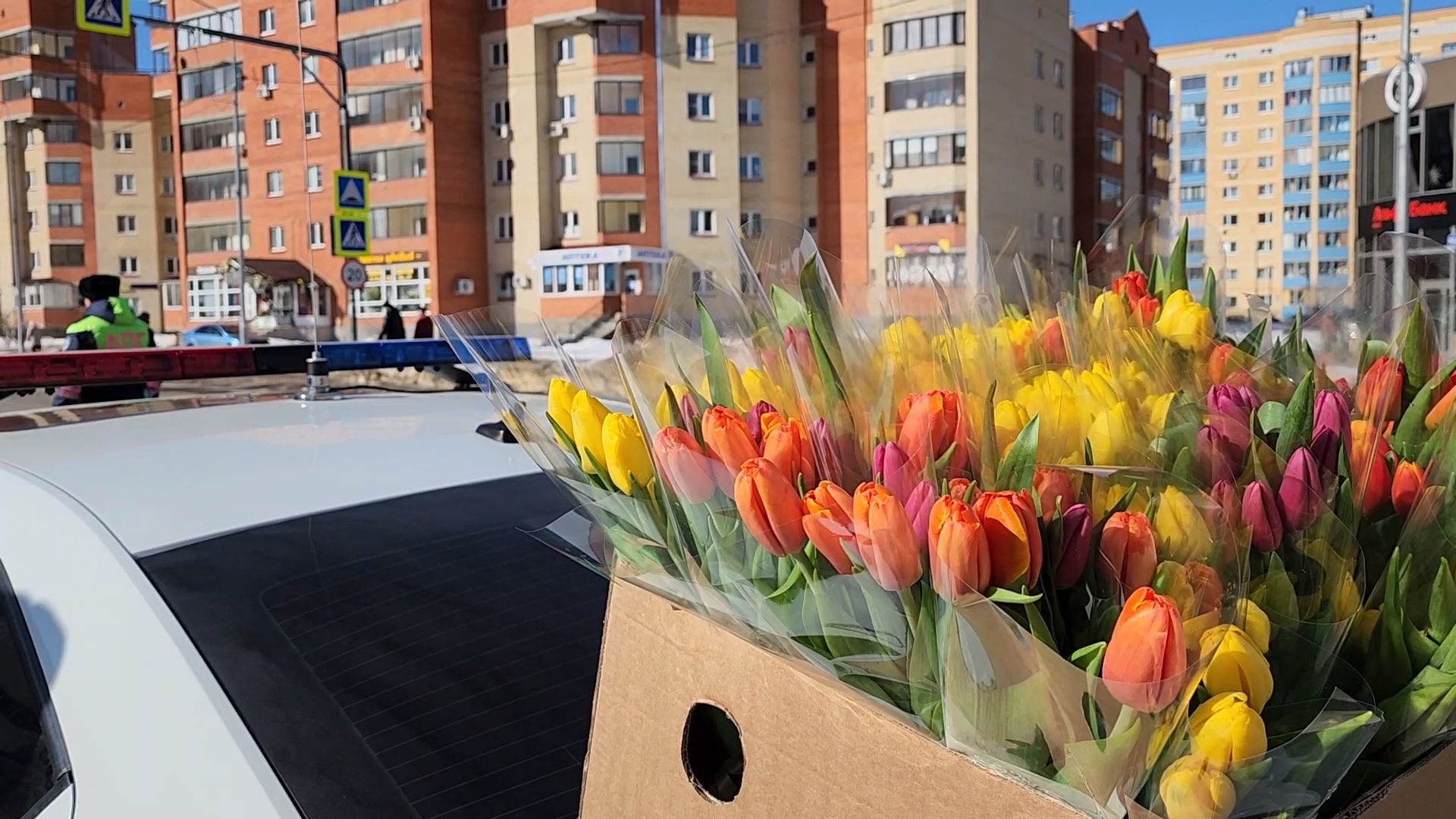 госавтоинспекция, Дубна, Цветы для автоледи, Рейд,