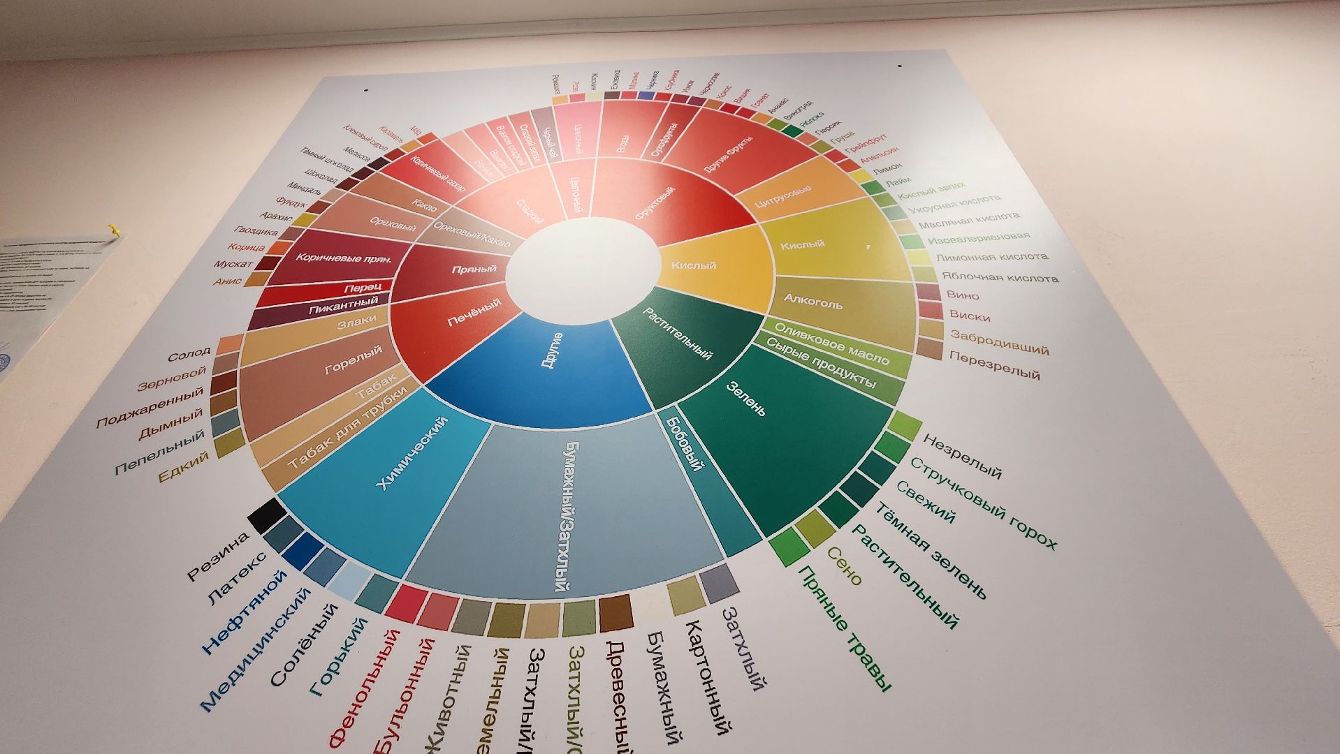 протвино, экономика, обжарка кофе, предприниматель, производство,