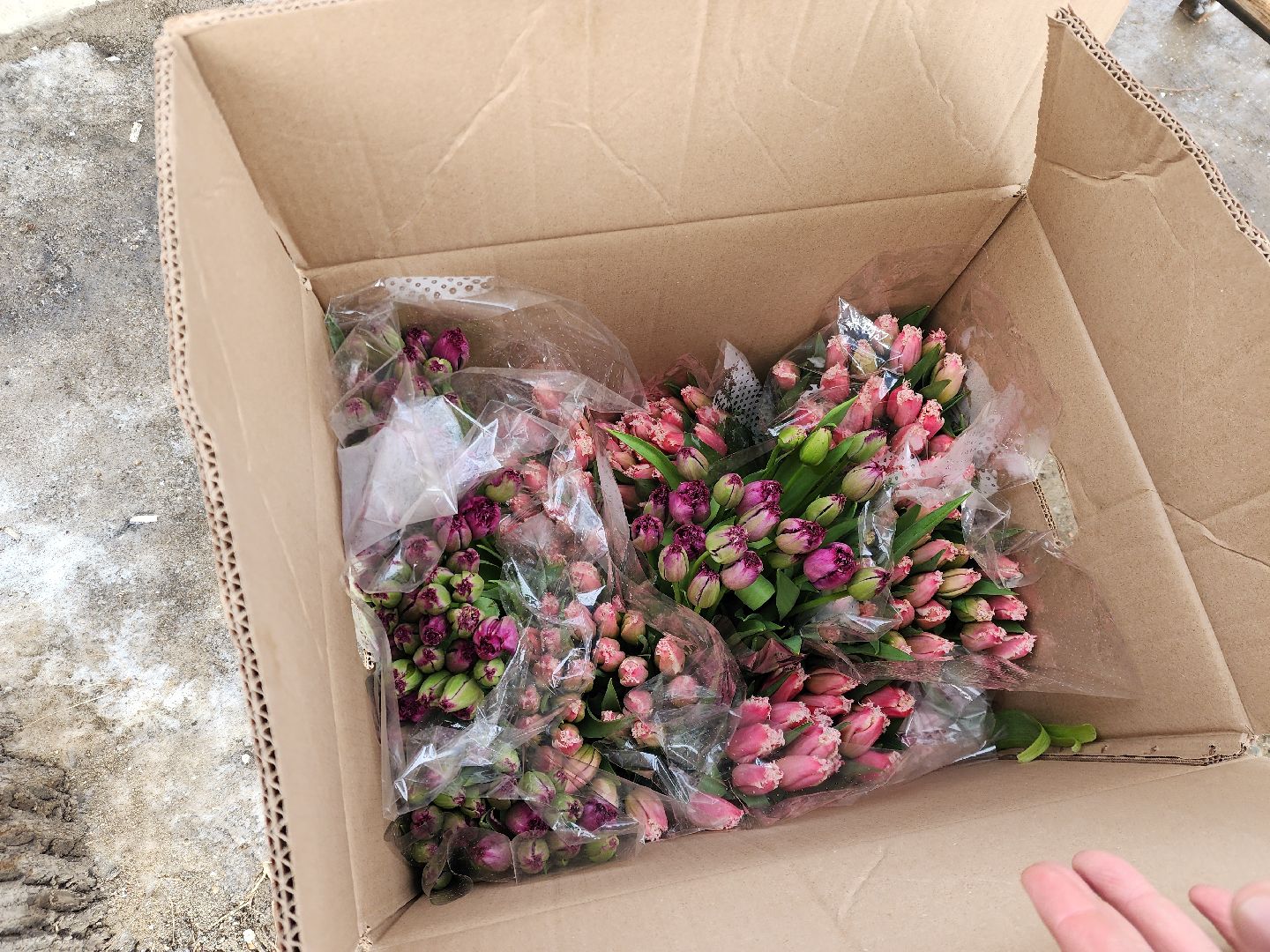 ногинск, вокзал, 8 марта,