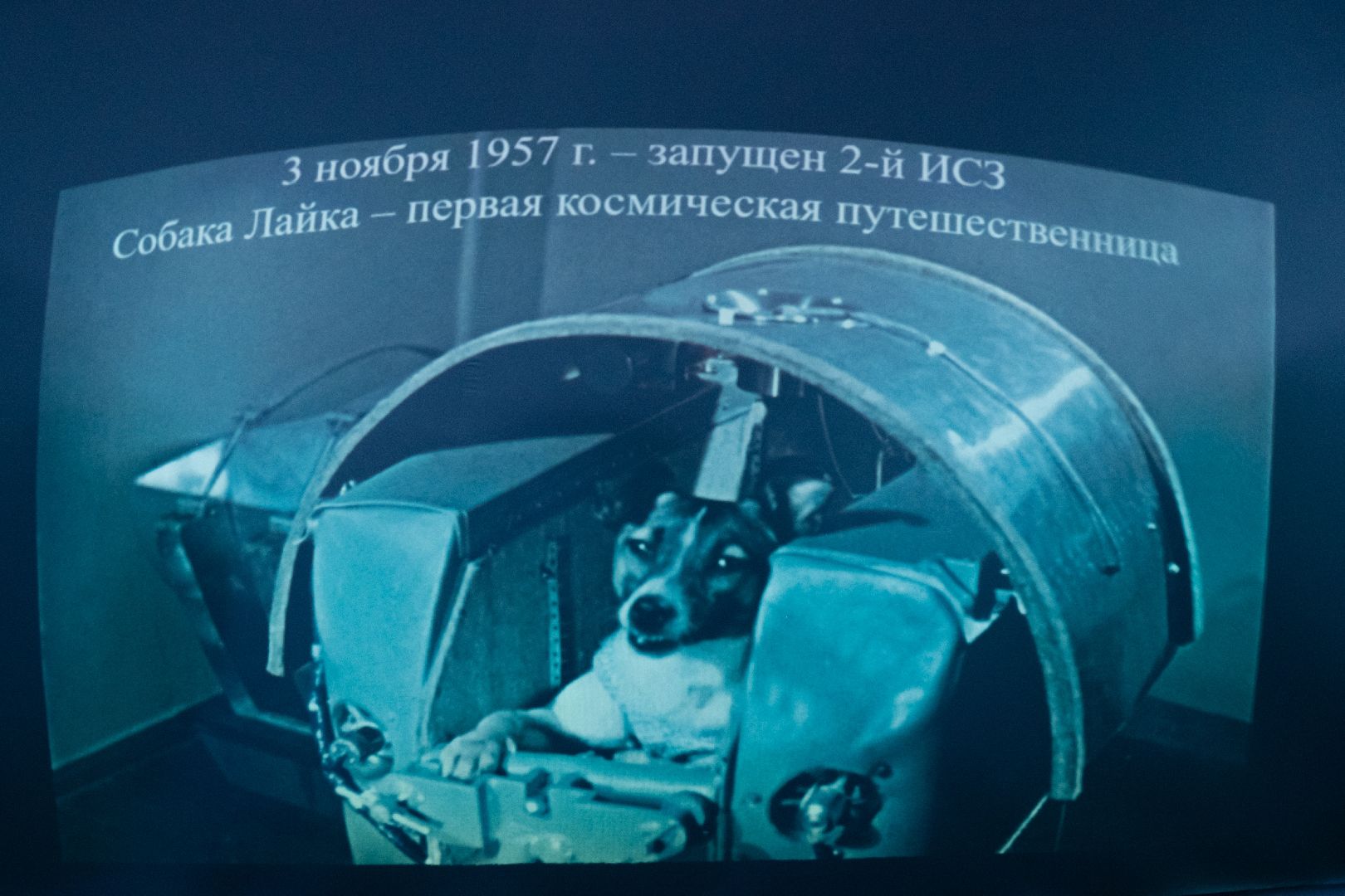 лыткарино, культура, планетарий,