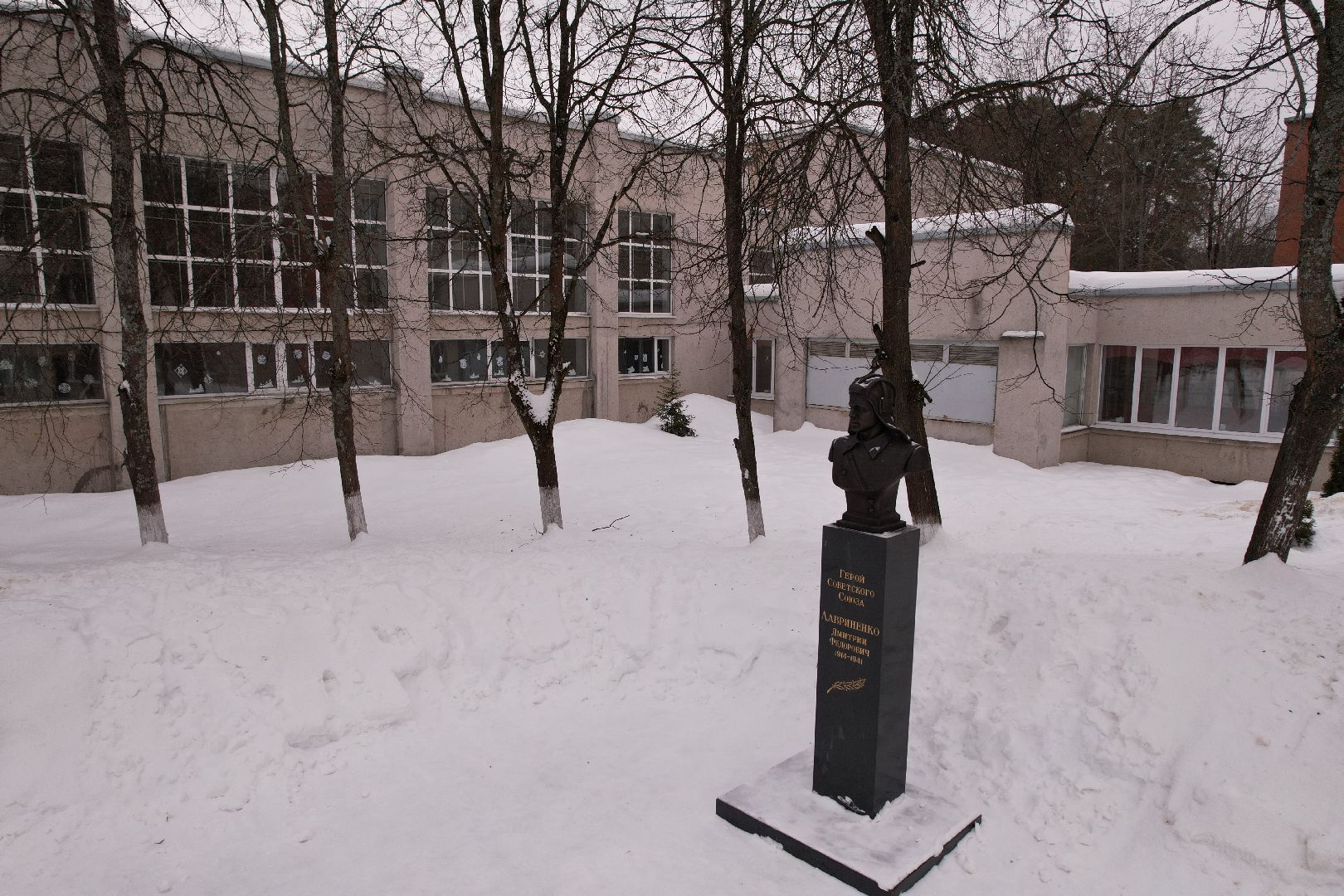 видео с коптера, протвино, лесничество, дети, школа,