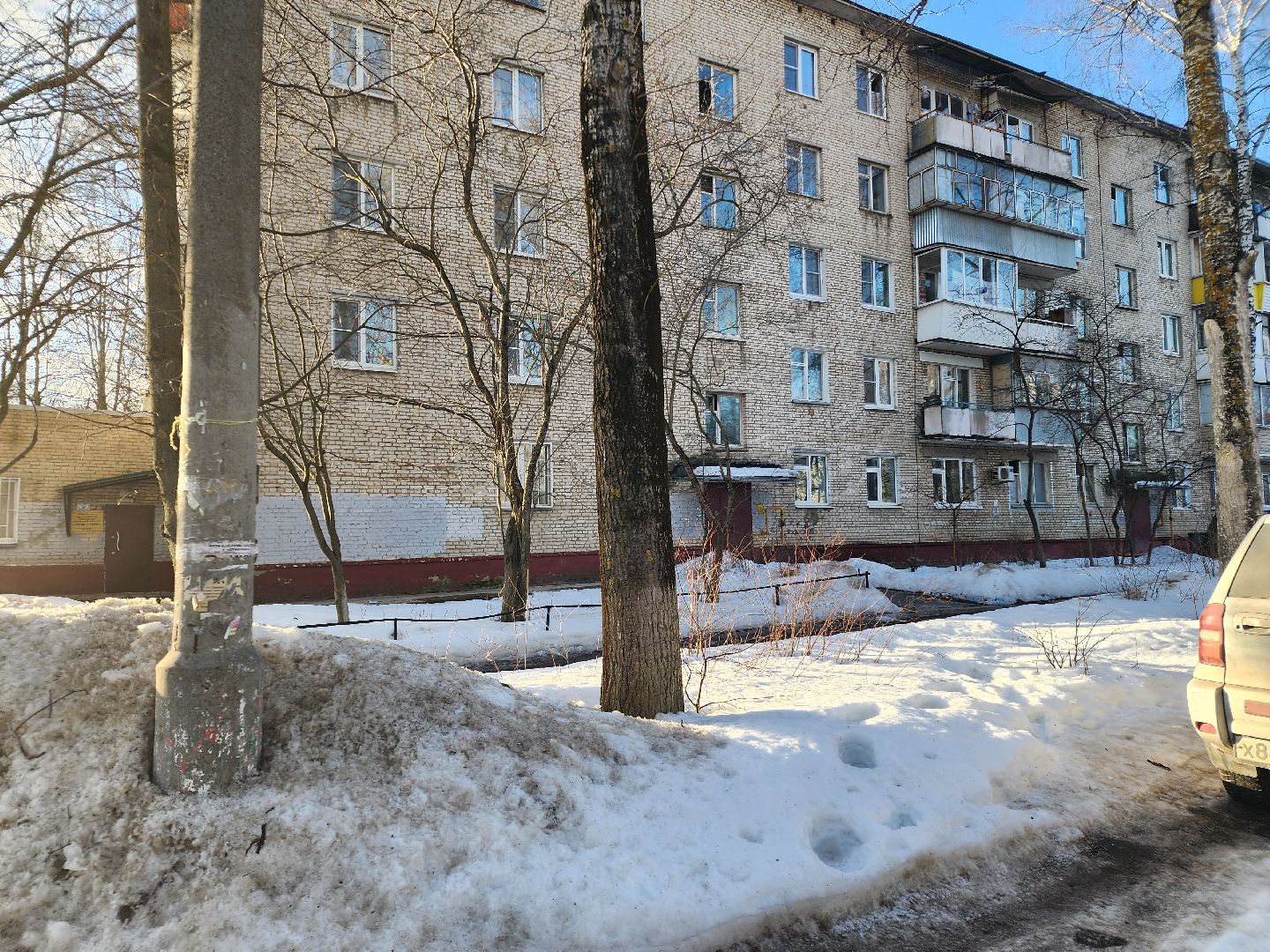 выборы, выборы президента 2024,поквартирный обход,уик,