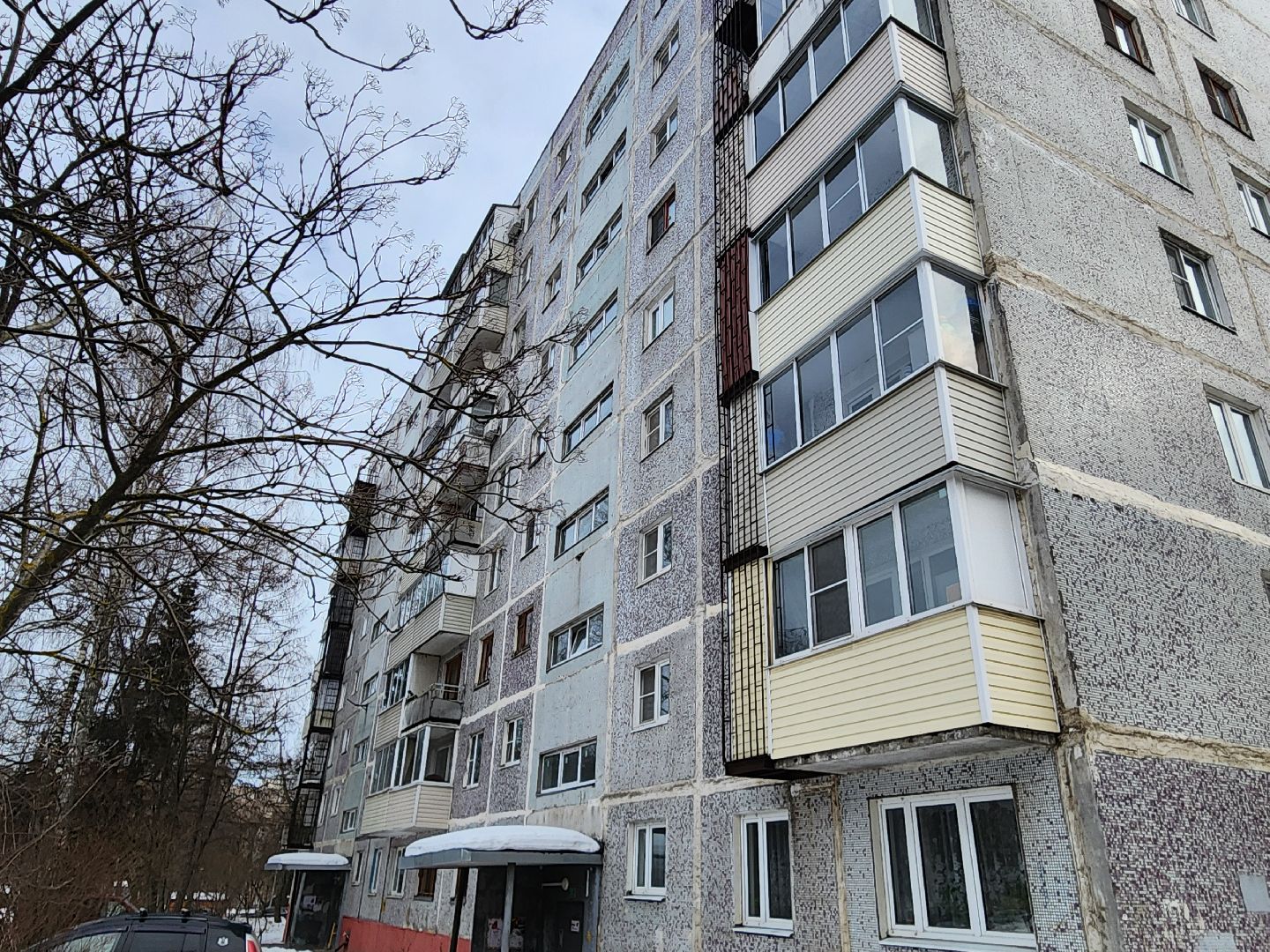 воскресенск, выборы, информаторы, жители,