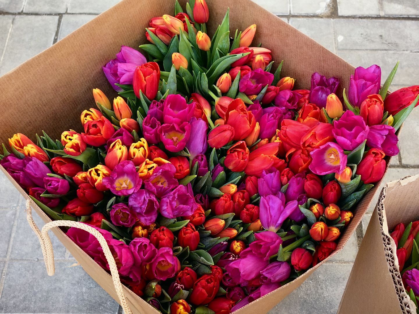 8 Марта, Тюльпаны, Поздравления, молодая гвардия,