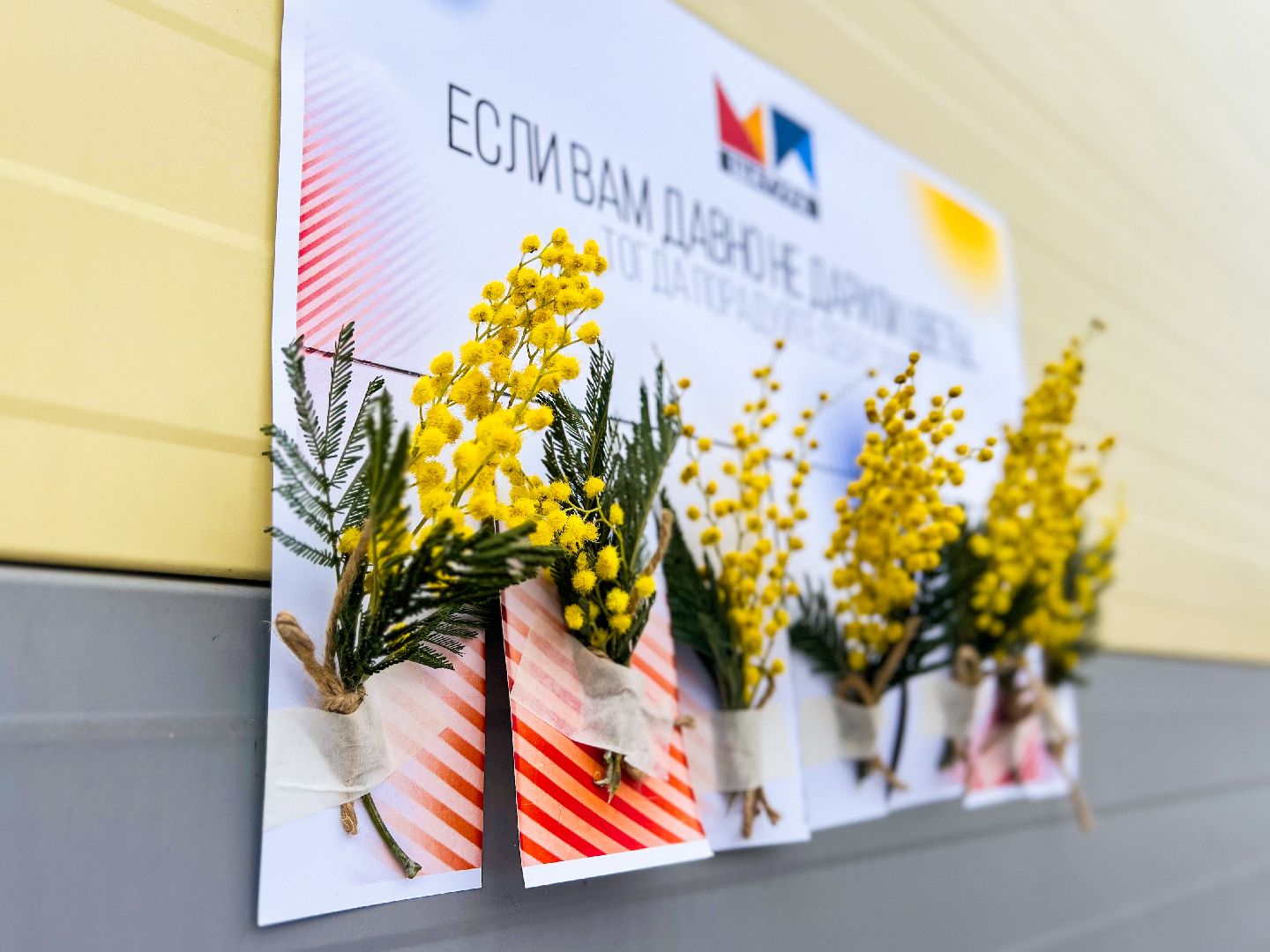 8 марта, Большая Шатура, Международный женский день, молодежный парламент, праздник,