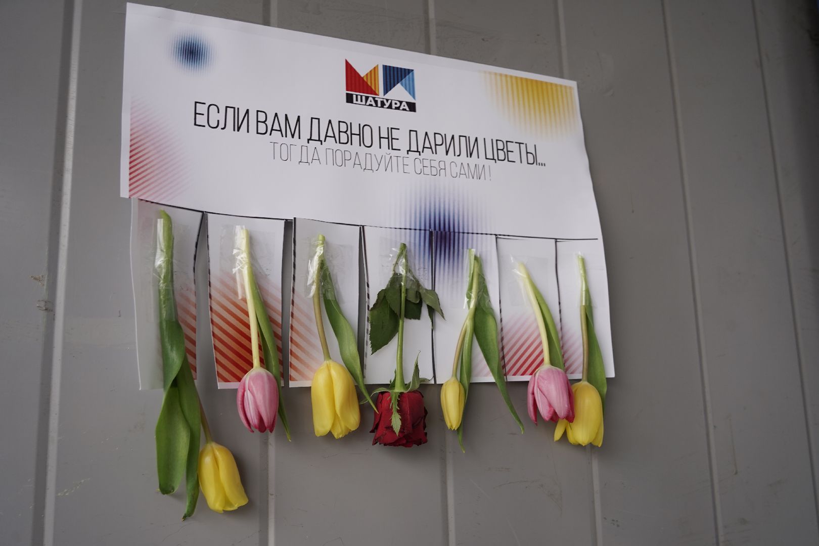 8 марта, Большая Шатура, Международный женский день, молодежный парламент, праздник,