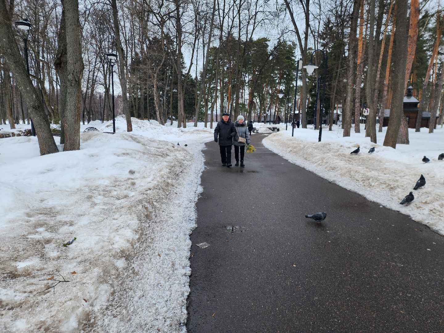 ногинск, 8 марта, глуховский парк, парки подмосковья,