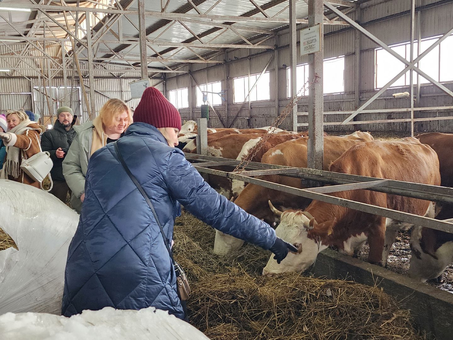 семьи участников сво, 8 марта, сыроварня,
