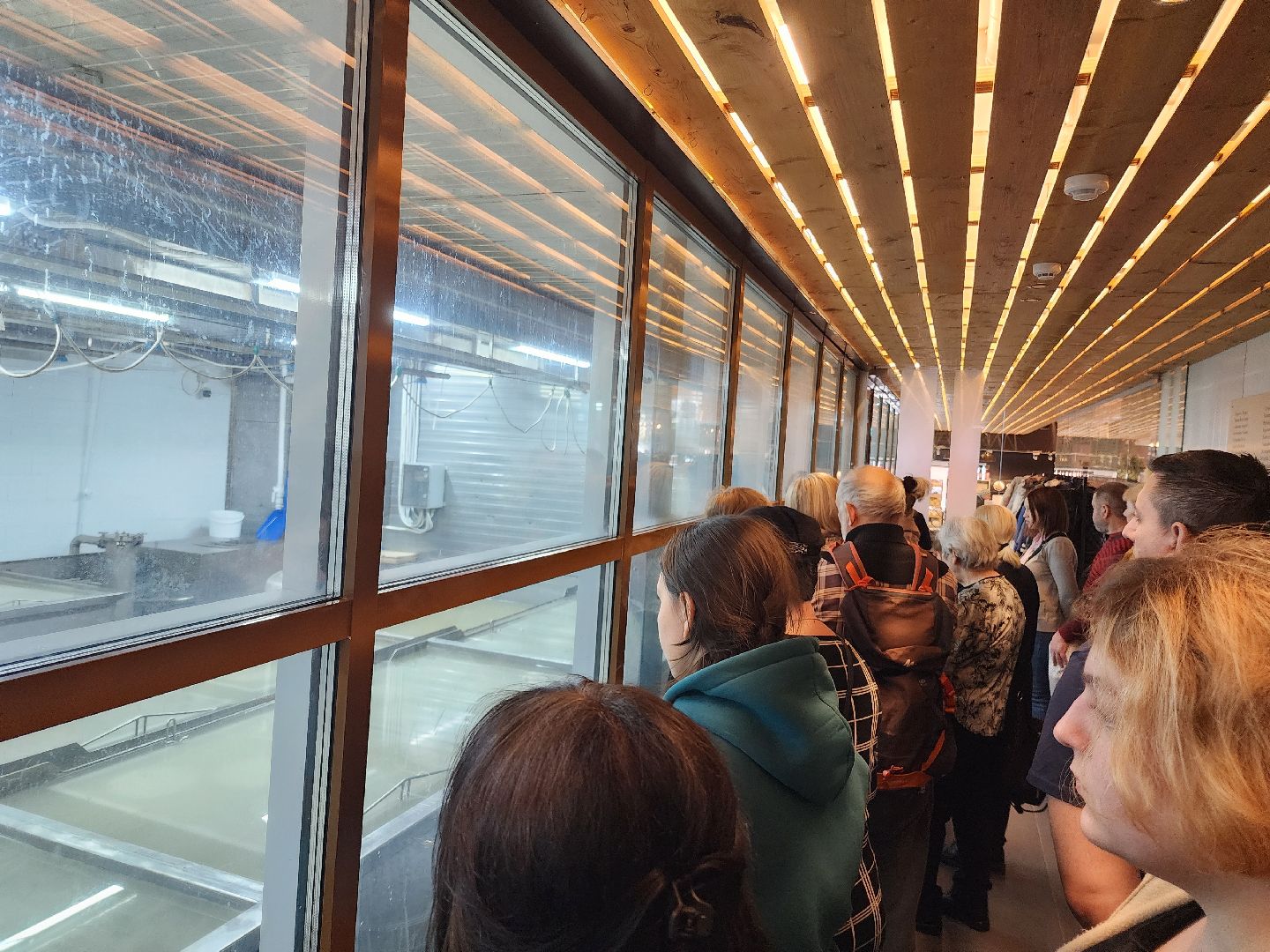 семьи участников сво, 8 марта, сыроварня,