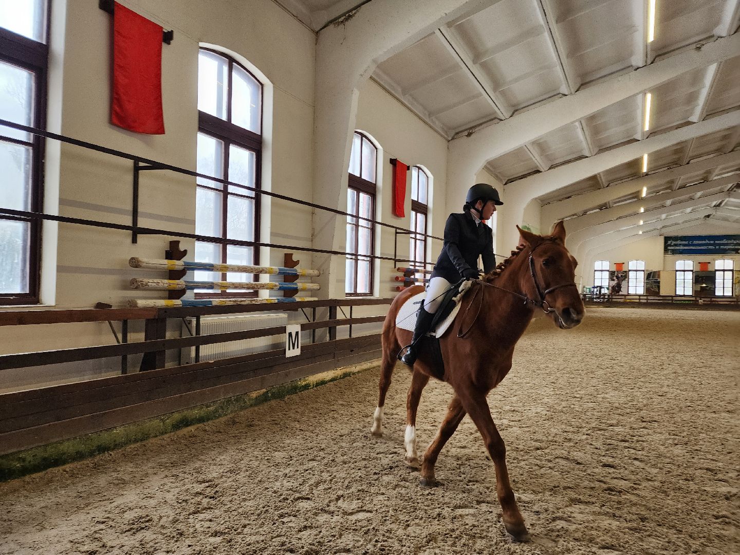 Подольск, конный спорт, Выездка, 8 марта, Соревнования,