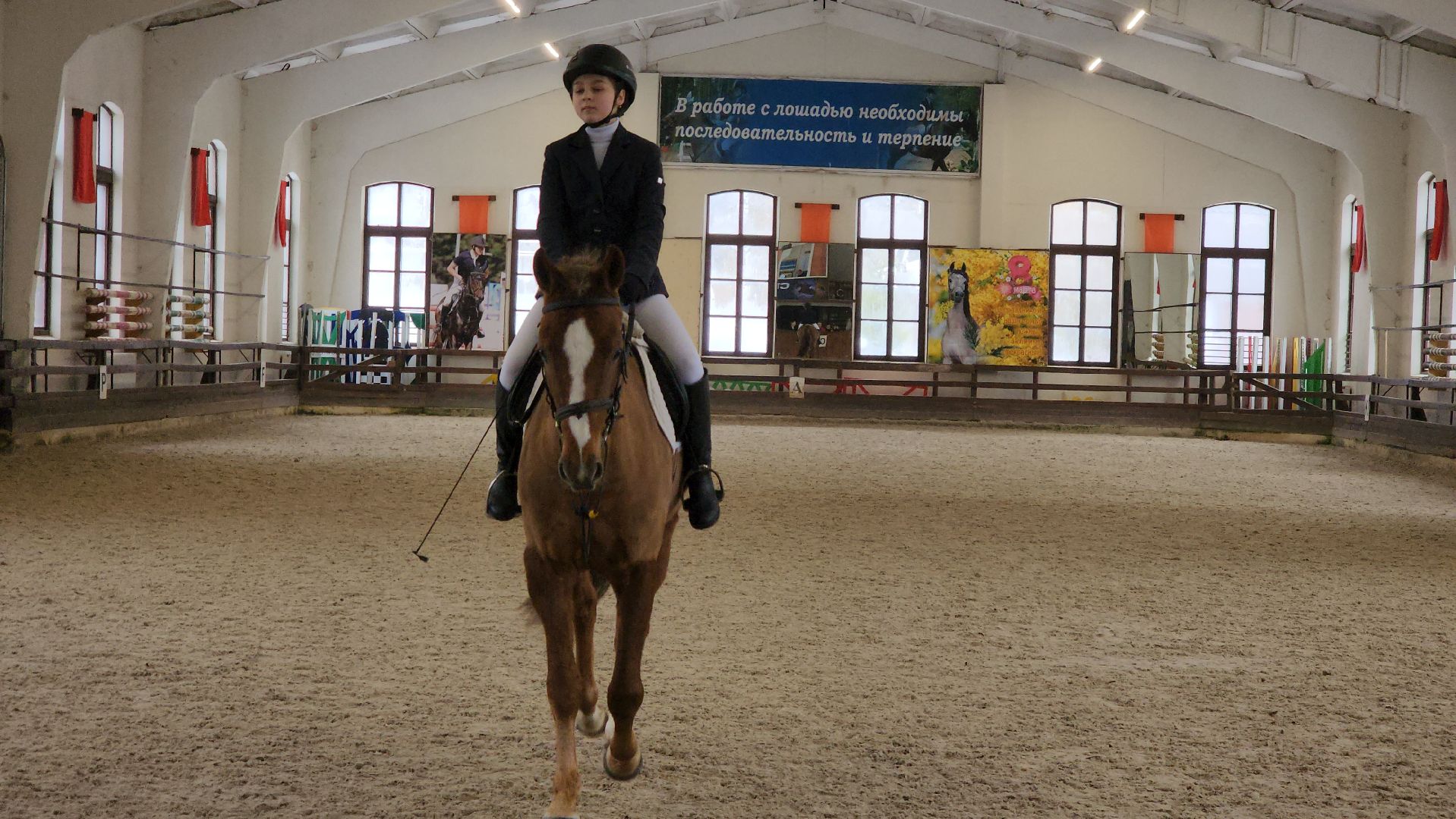 Подольск, конный спорт, Выездка, 8 марта, Соревнования,
