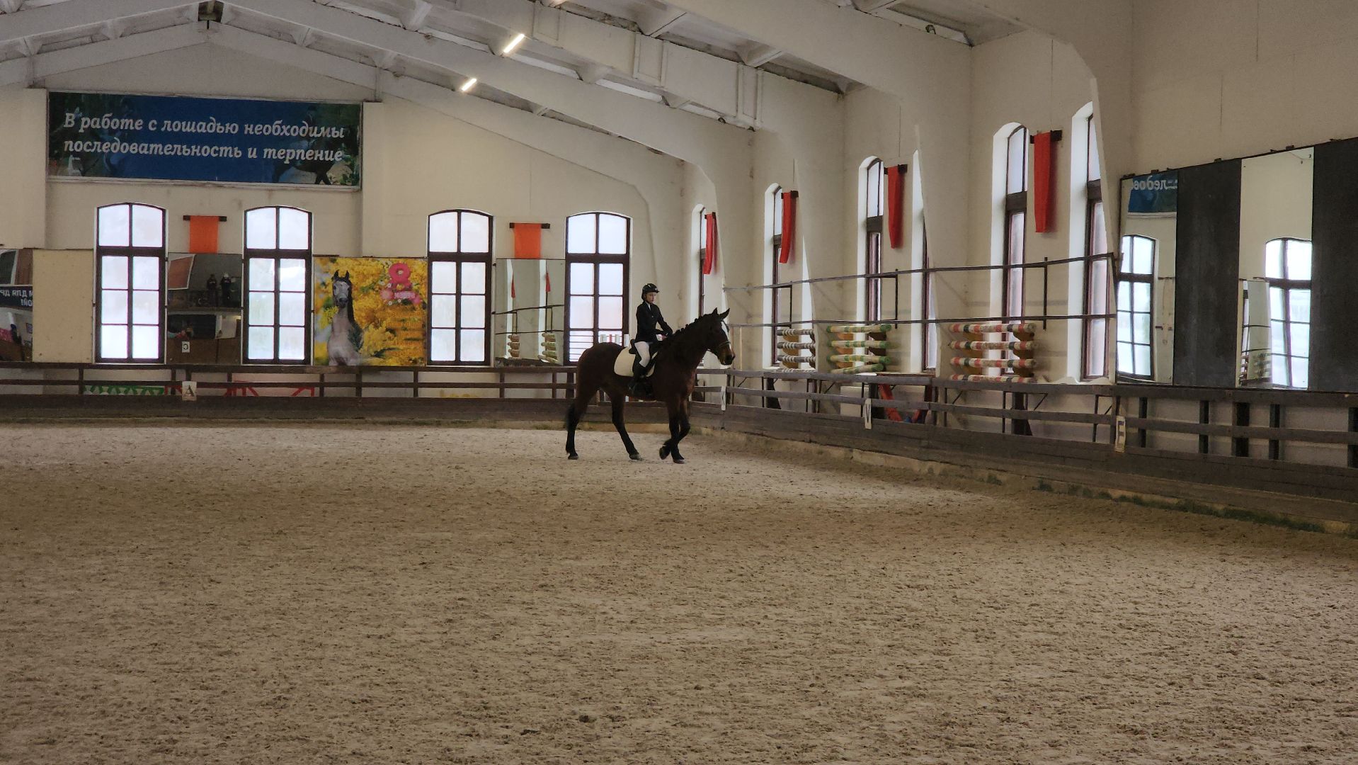 Подольск, конный спорт, Выездка, 8 марта, Соревнования,