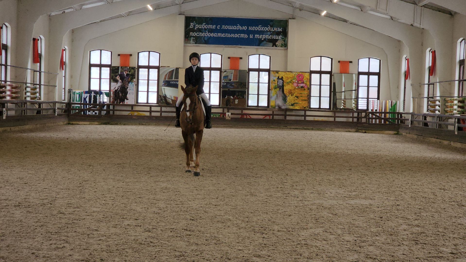 Подольск, конный спорт, Выездка, 8 марта, Соревнования,