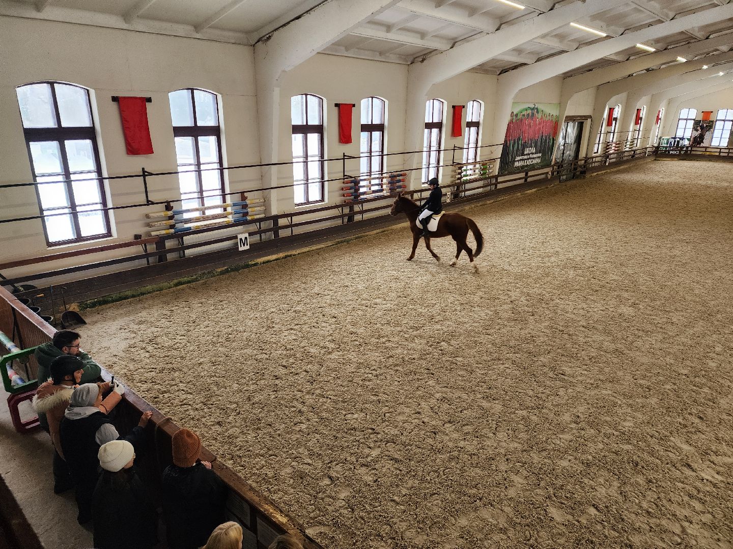 Подольск, конный спорт, Выездка, 8 марта, Соревнования,