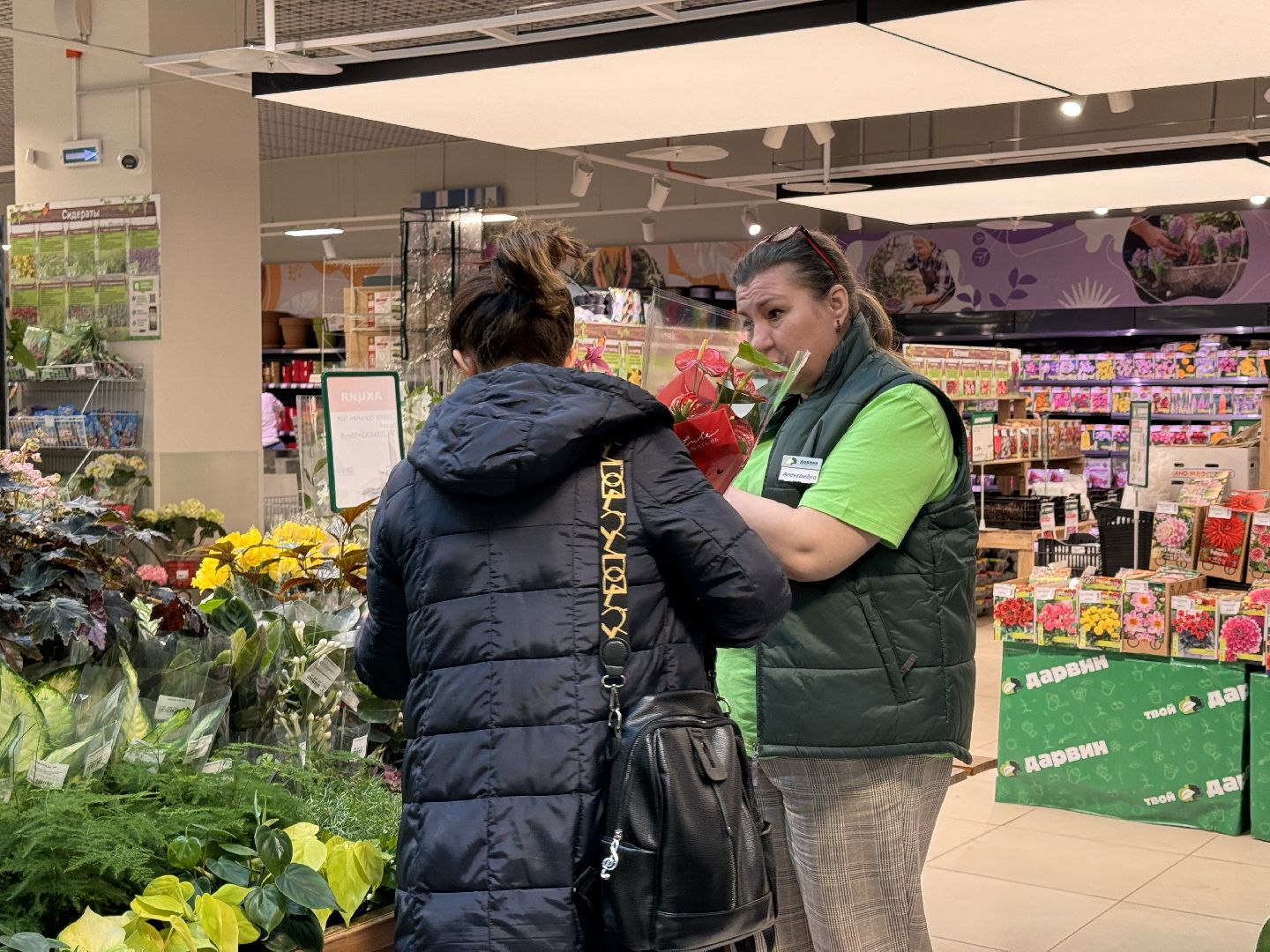 Одинцово, Садовый центр, Экономика,