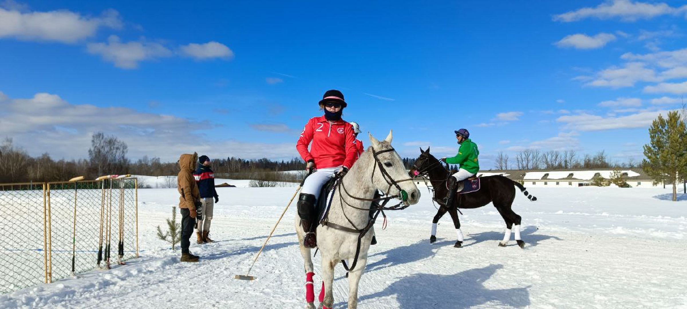 Дмитров, Чемпионат Целеево, Поло на снегу,