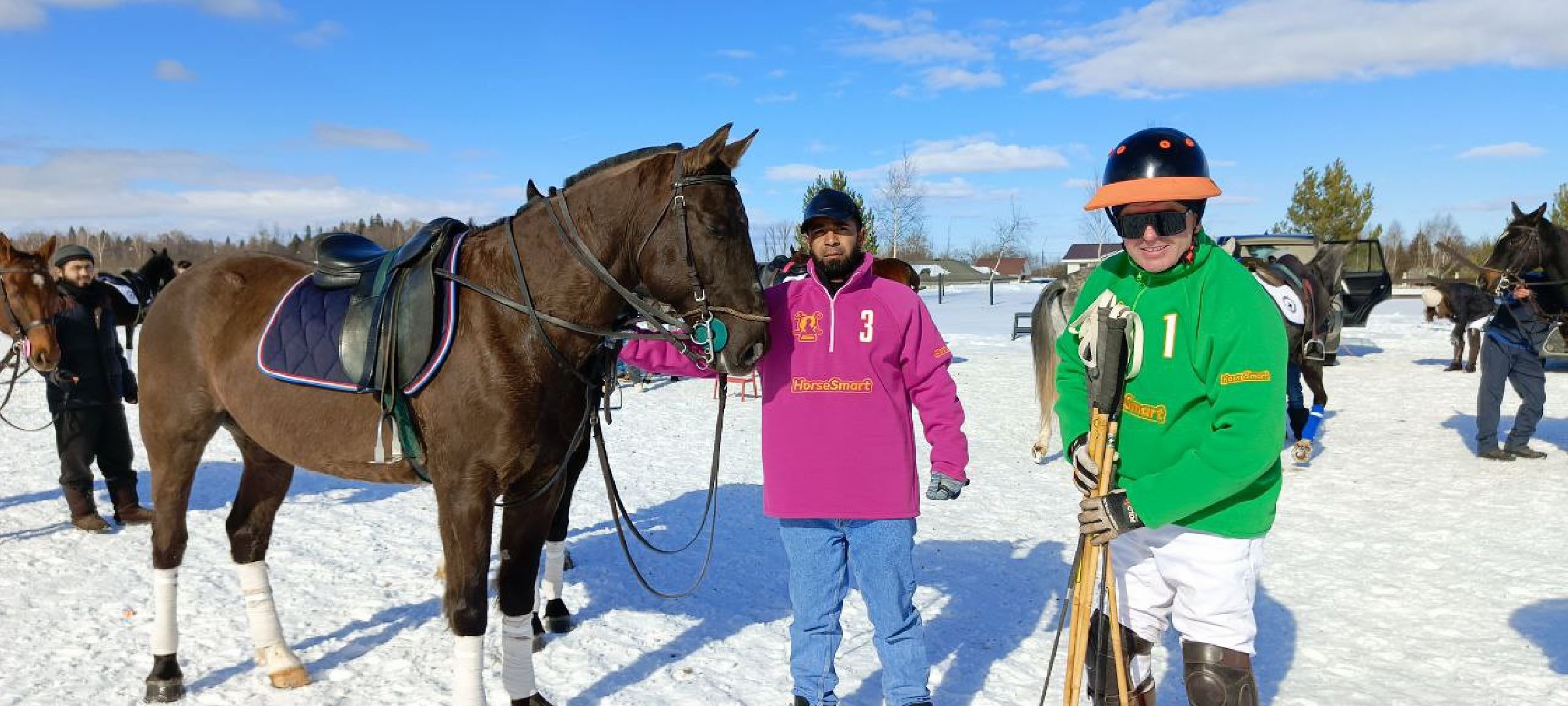 Дмитров, Чемпионат Целеево, Поло на снегу,