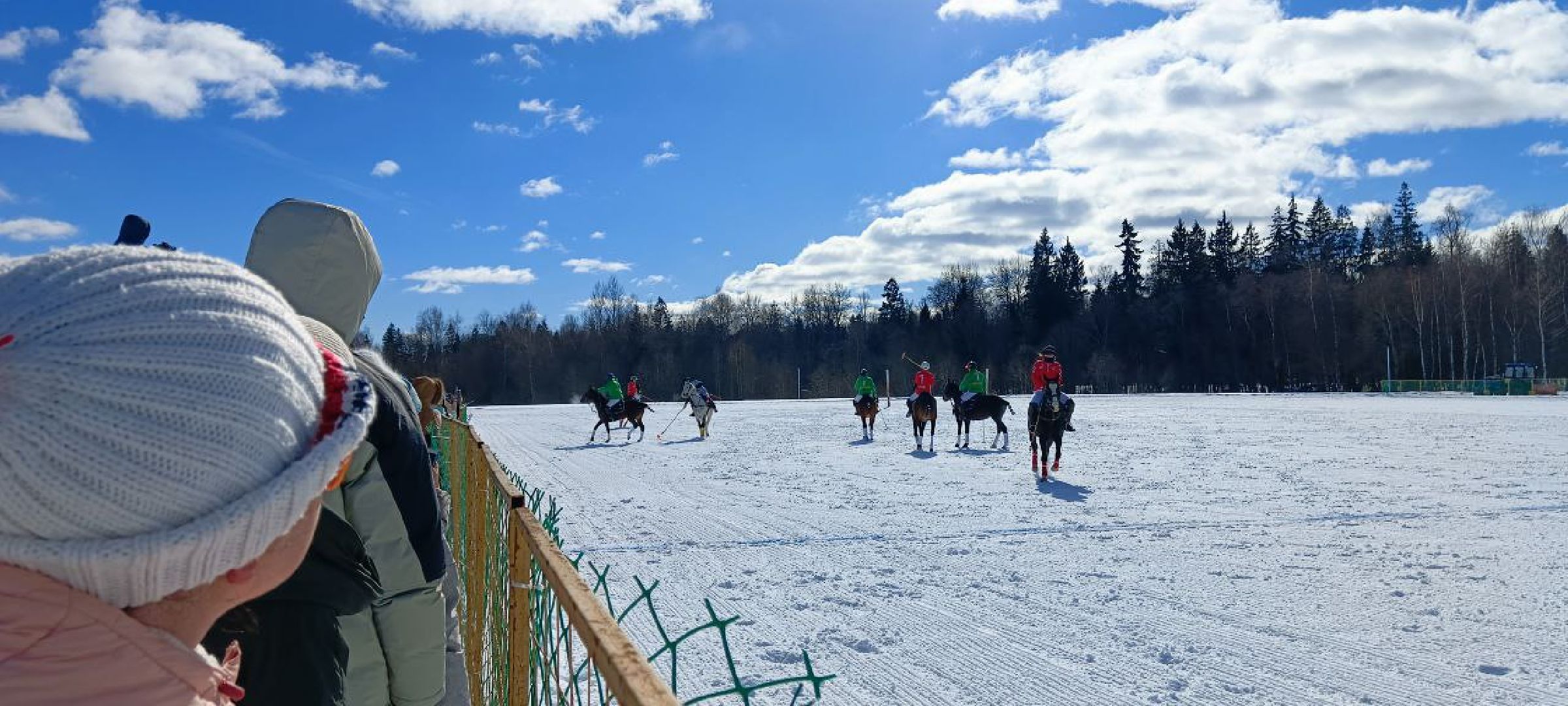 Дмитров, Чемпионат Целеево, Поло на снегу,