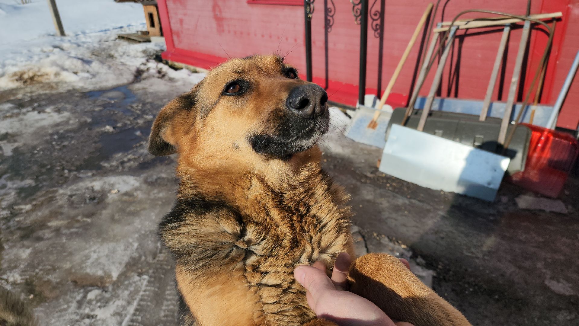 мособлпожспас, спасатели, псч, руза, 312 псч, рузский городской округ, московская область, подмосковье,