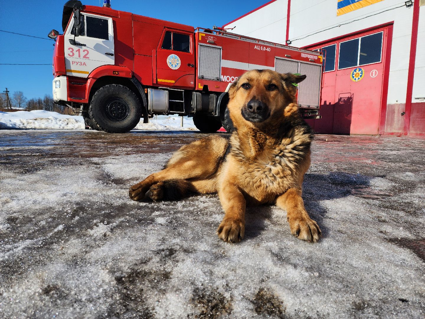 мособлпожспас, спасатели, псч, руза, 312 псч, рузский городской округ, московская область, подмосковье,