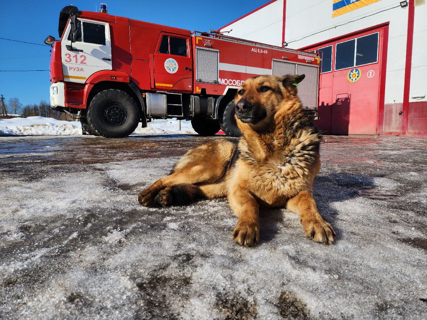 мособлпожспас, спасатели, псч, руза, 312 псч, рузский городской округ, московская область, подмосковье,