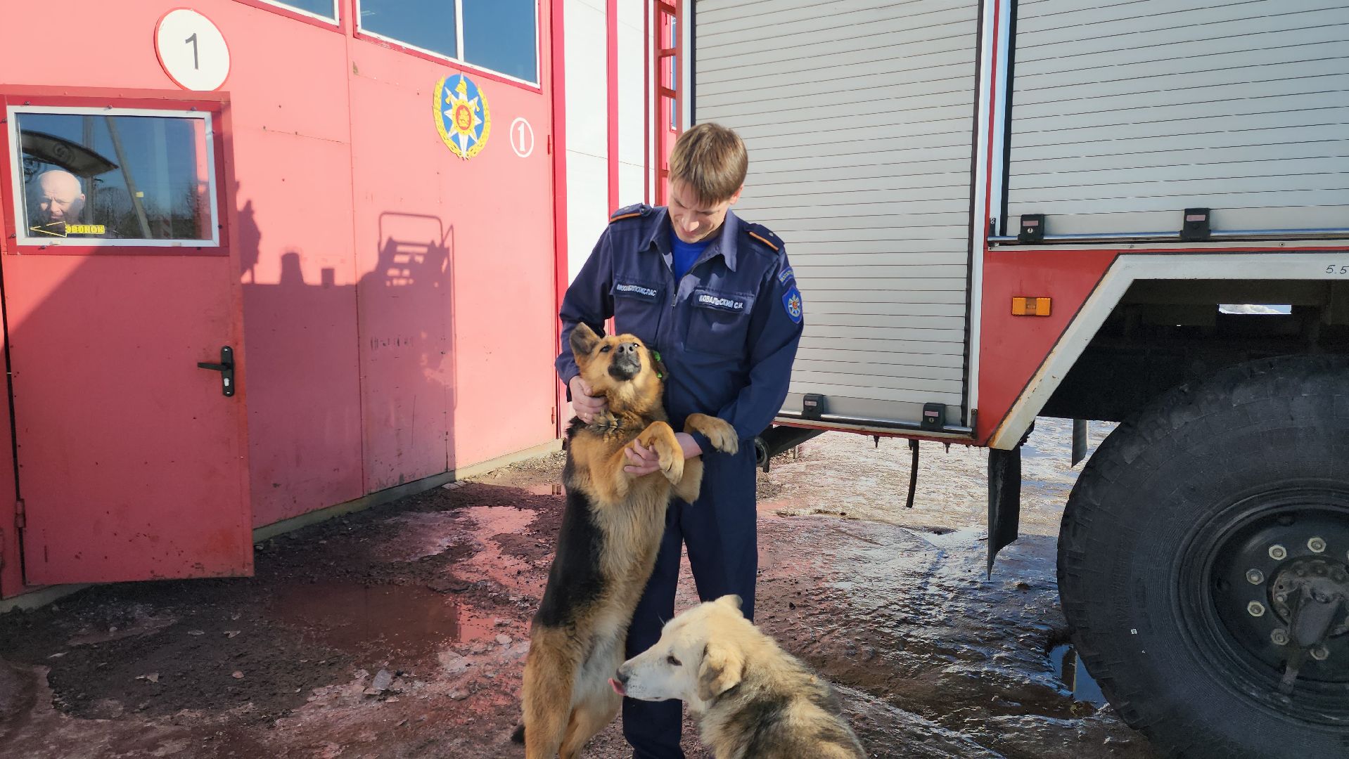 мособлпожспас, спасатели, псч, руза, 312 псч, рузский городской округ, московская область, подмосковье,