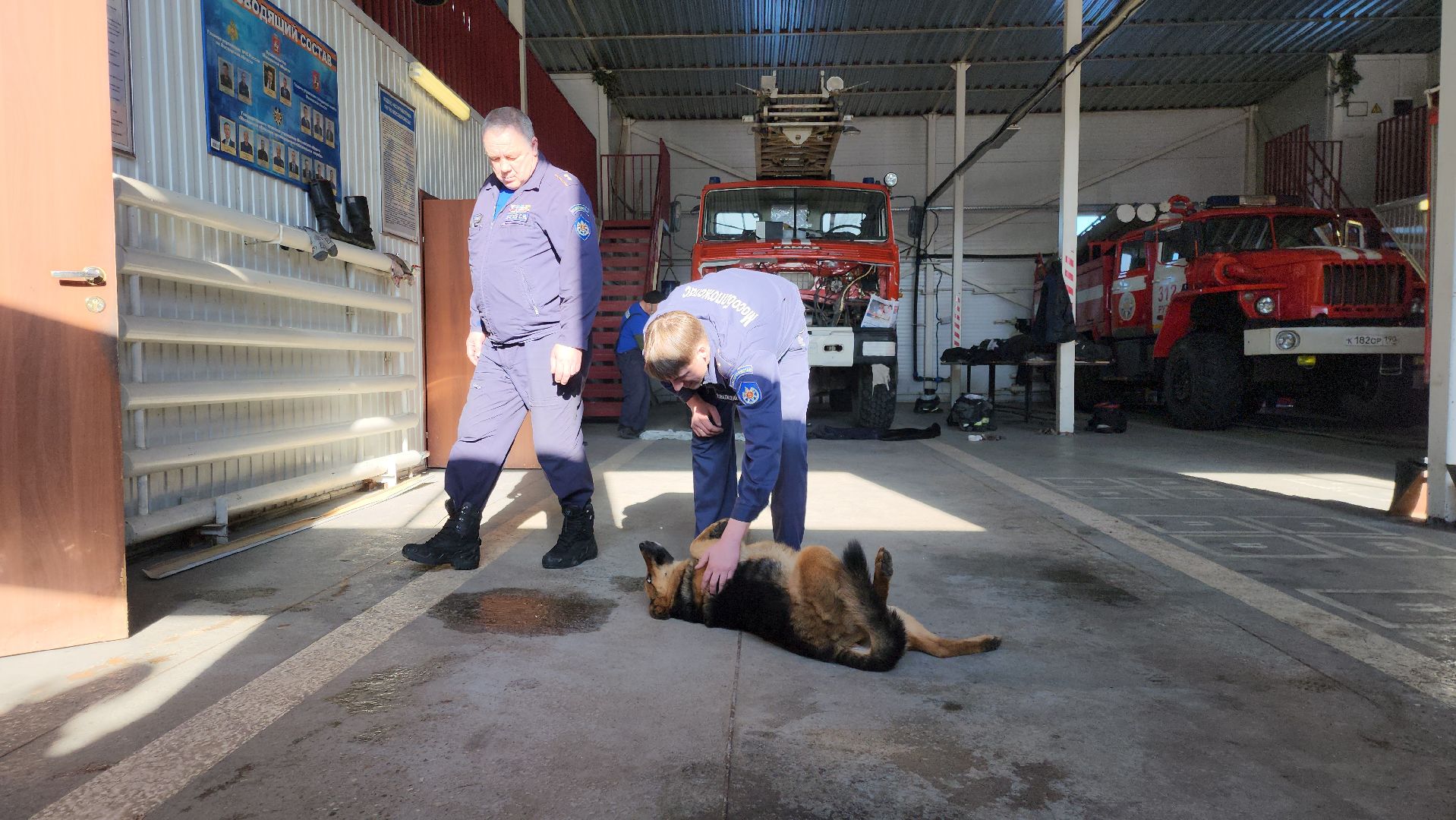 мособлпожспас, спасатели, псч, руза, 312 псч, рузский городской округ, московская область, подмосковье,