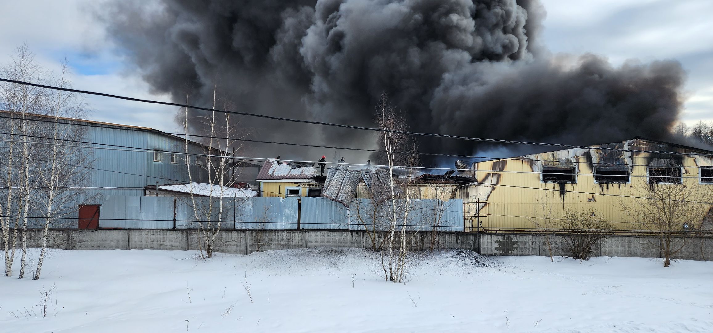 раменское, чп, пожар в родниках,