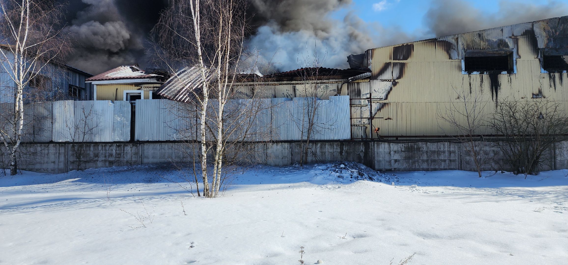 раменское, чп, пожар в родниках,