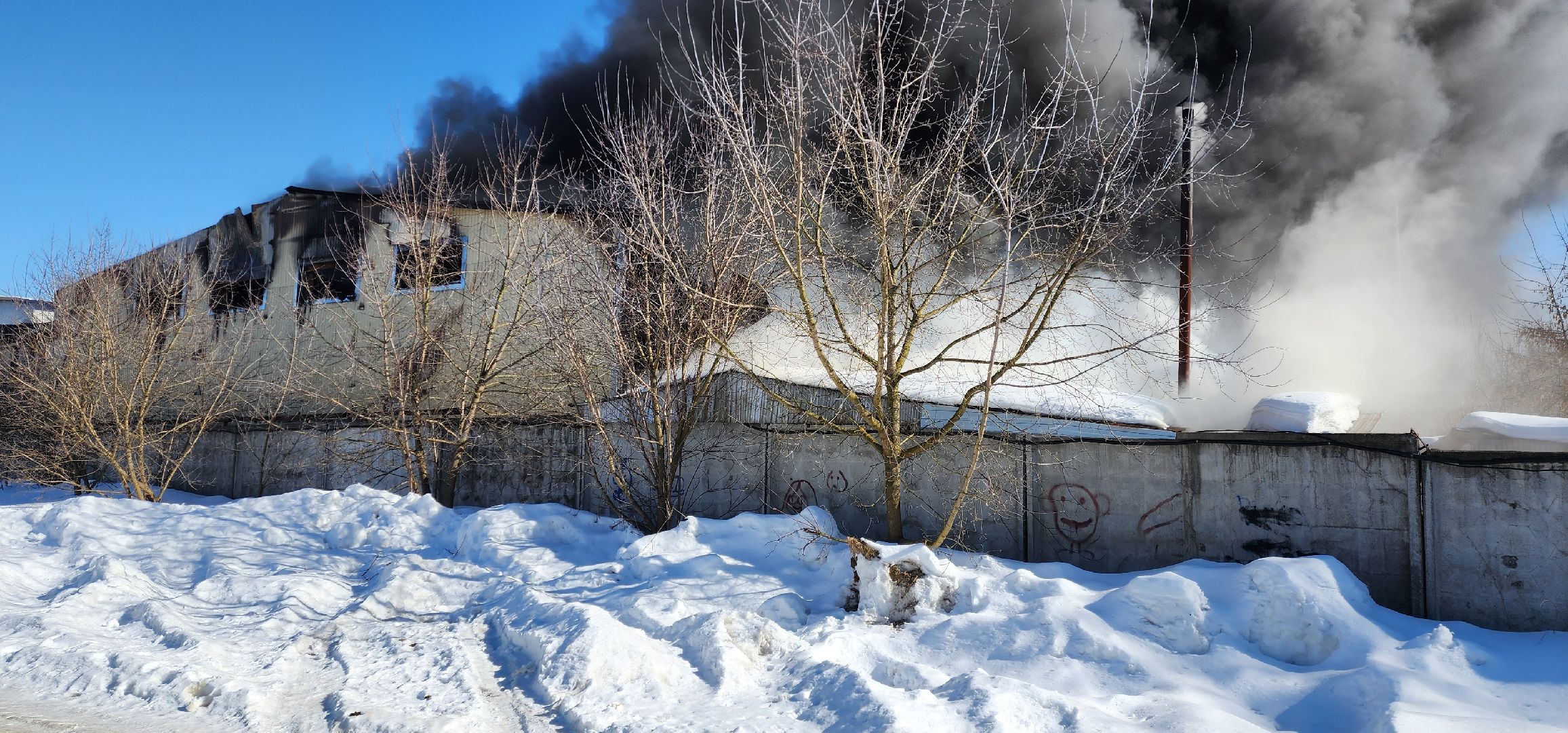 раменское, чп, пожар в родниках,