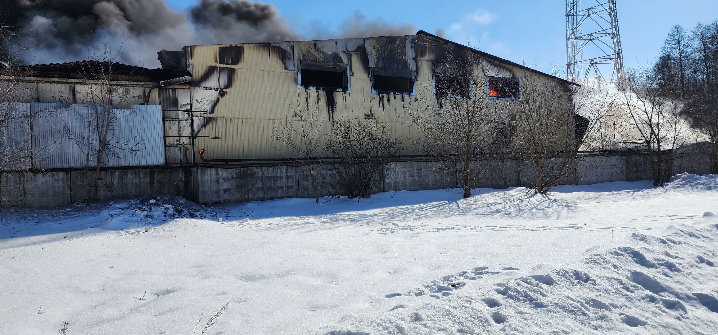 раменское, чп, пожар в родниках,