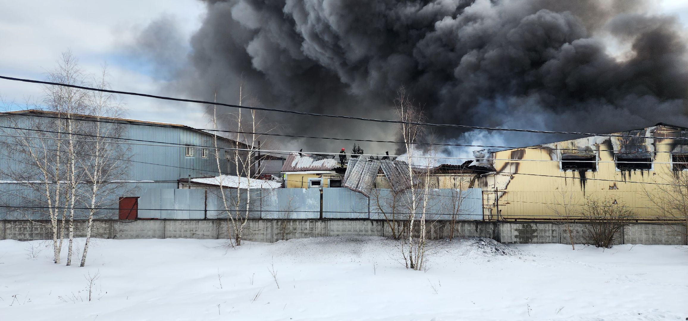 раменское, чп, пожар в родниках,
