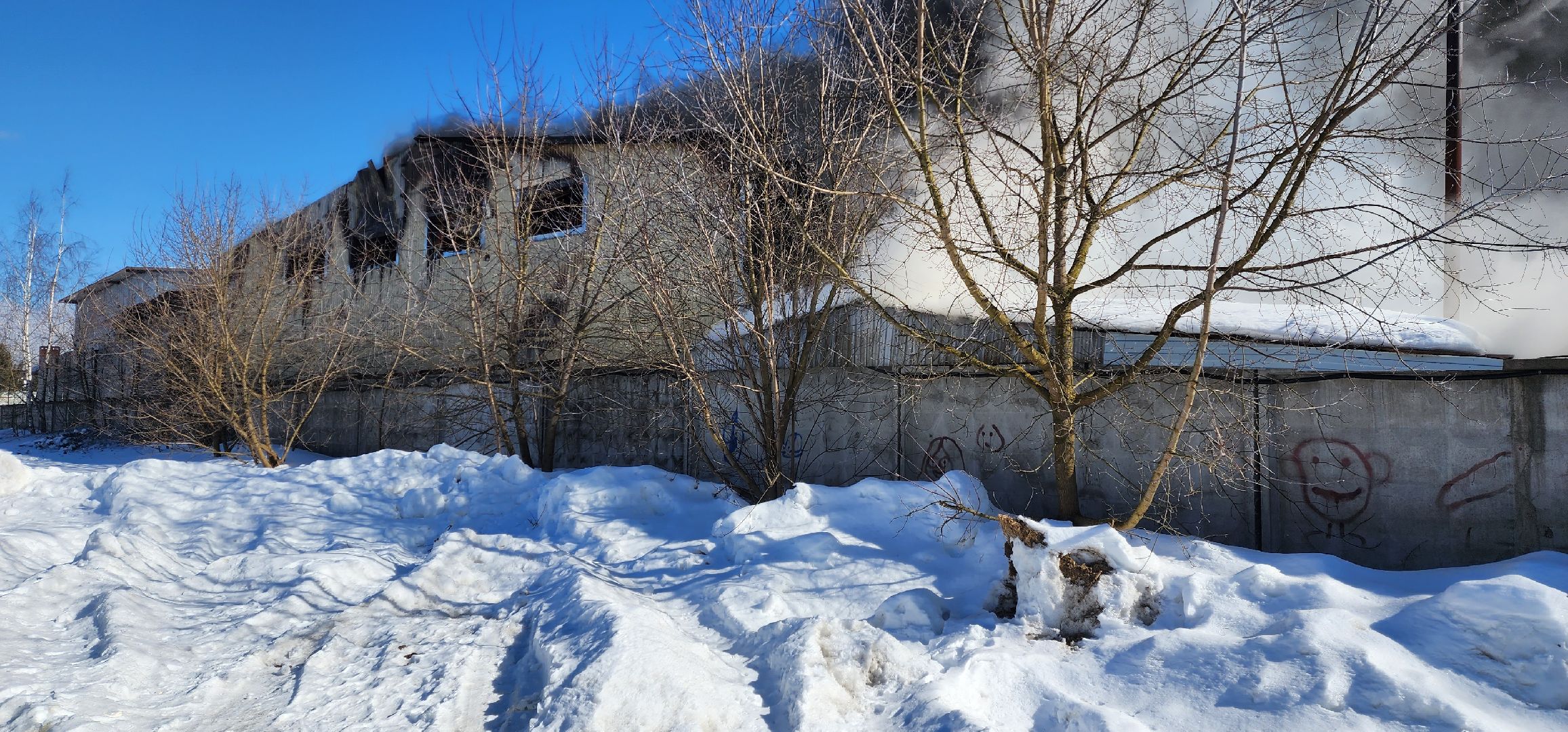 раменское, чп, пожар в родниках,