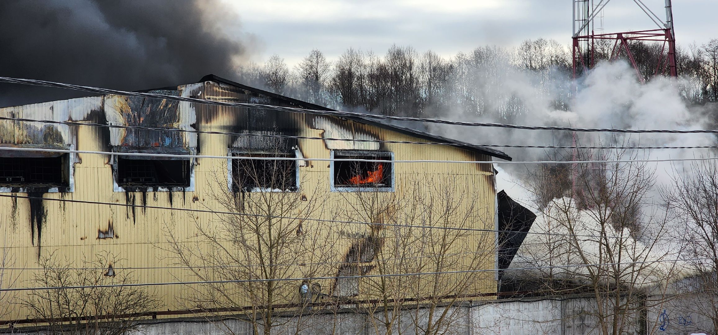 раменское, чп, пожар в родниках,
