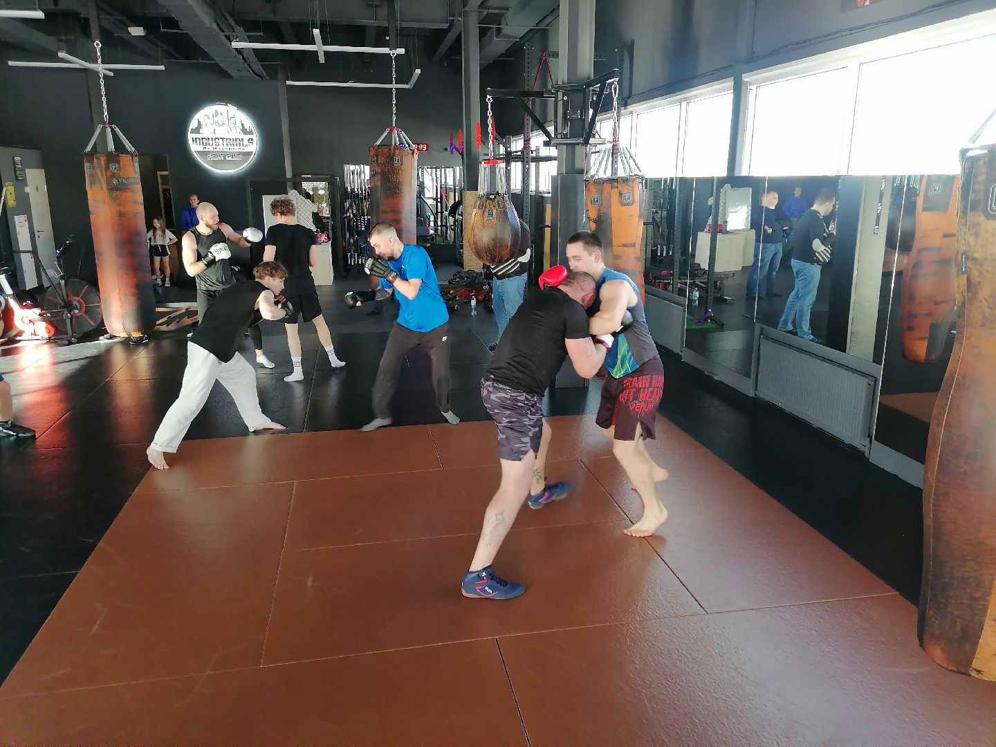 спорт в подмосковье, единоборства,