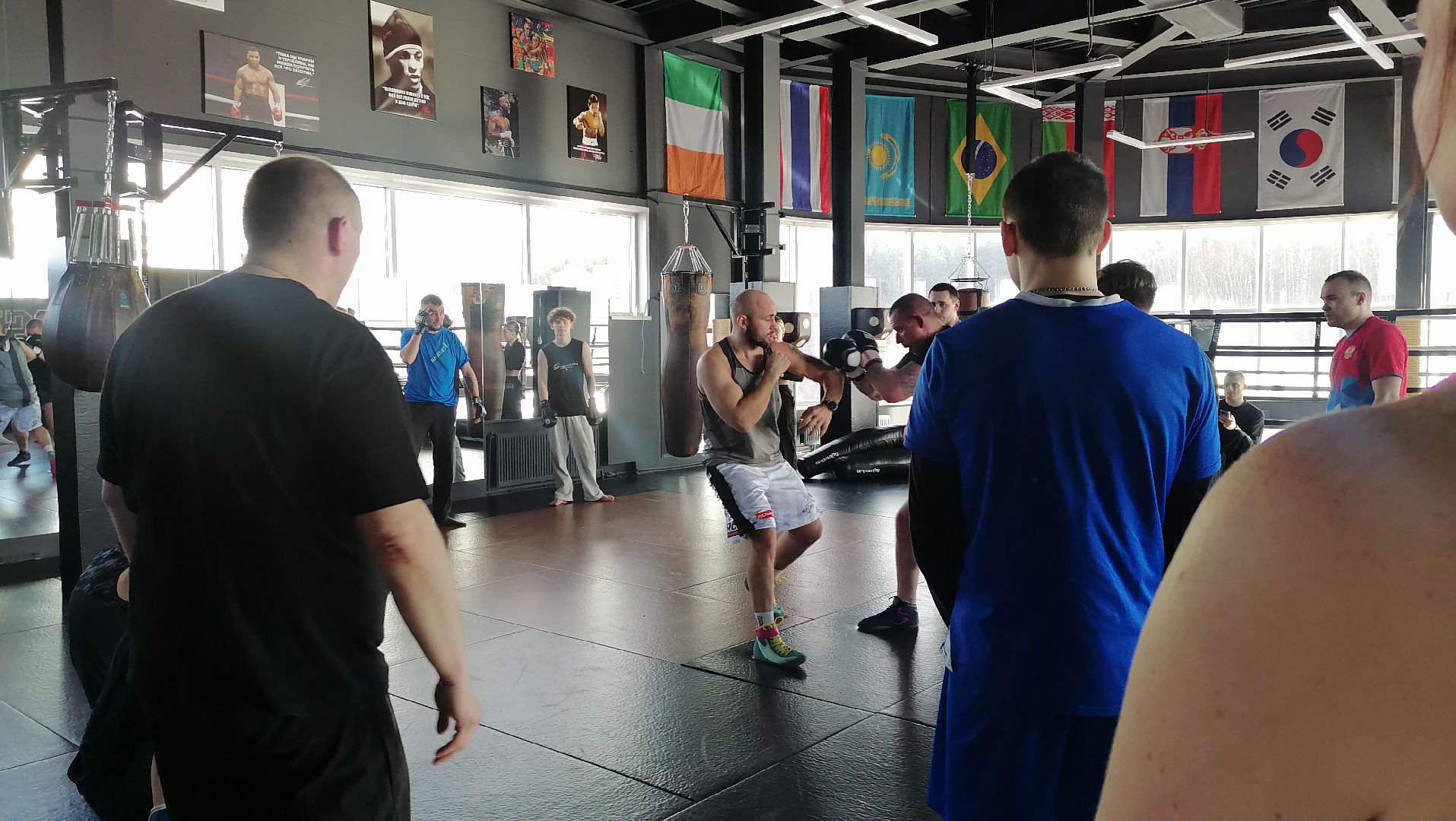 спорт в подмосковье, единоборства,