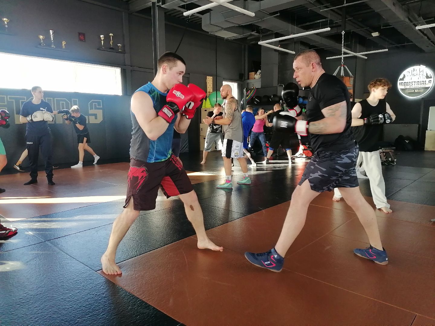 спорт в подмосковье, единоборства,