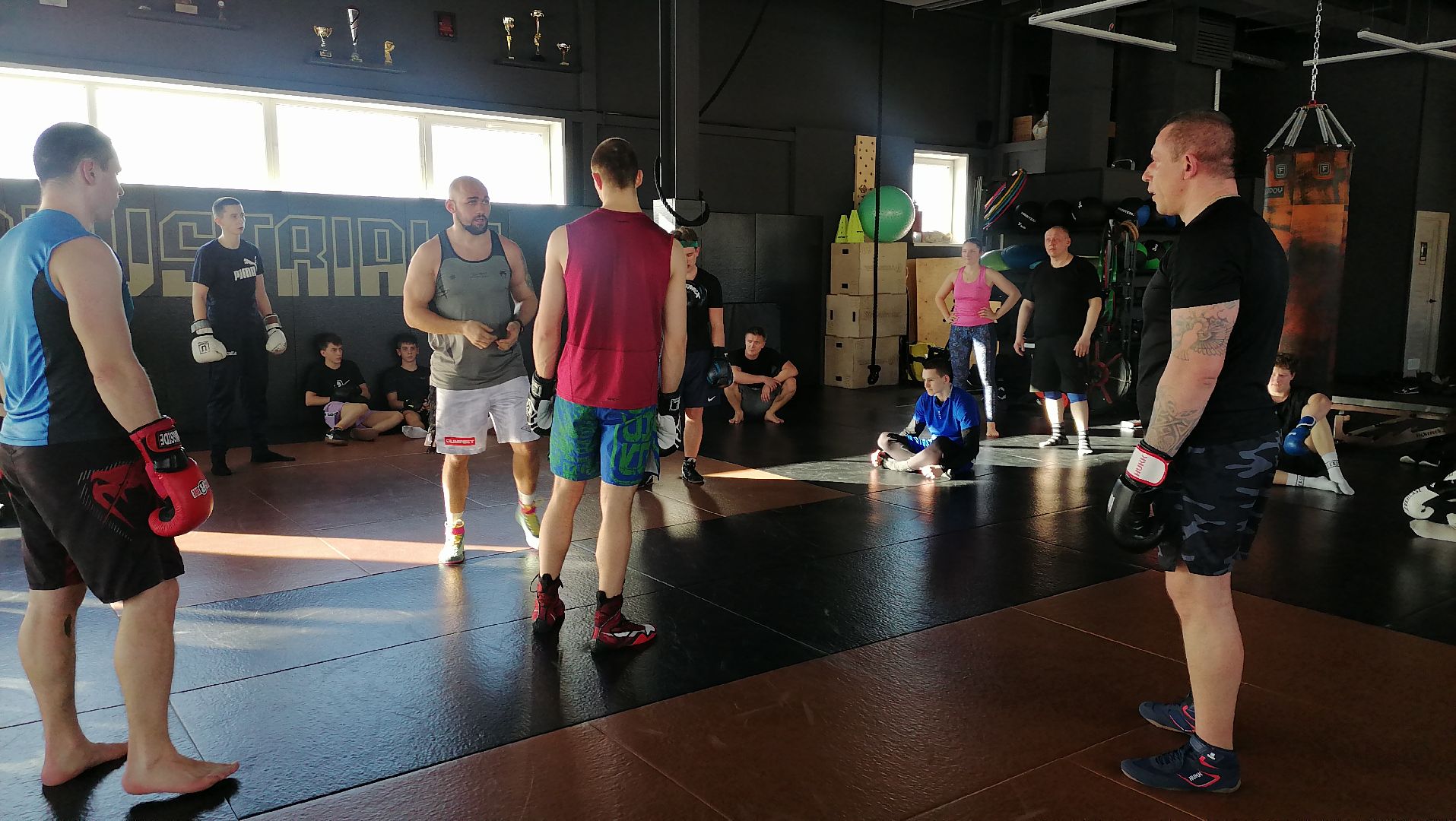 спорт в подмосковье, единоборства,