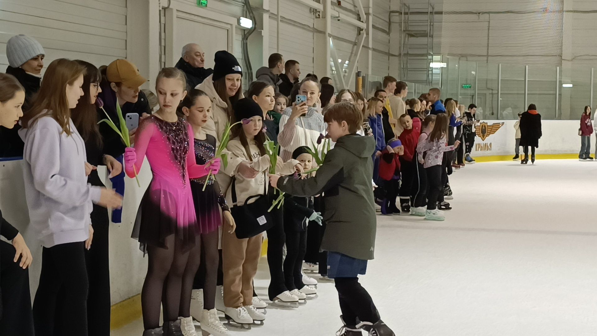 дискотека на льду, лобня, фигурное катание,