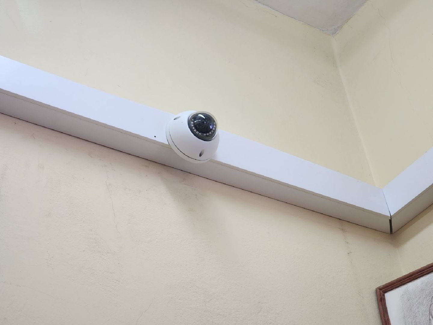 Солнечногорск, выборы президента 2024, избирательные участки, Подготовка к выборам, Выборы,