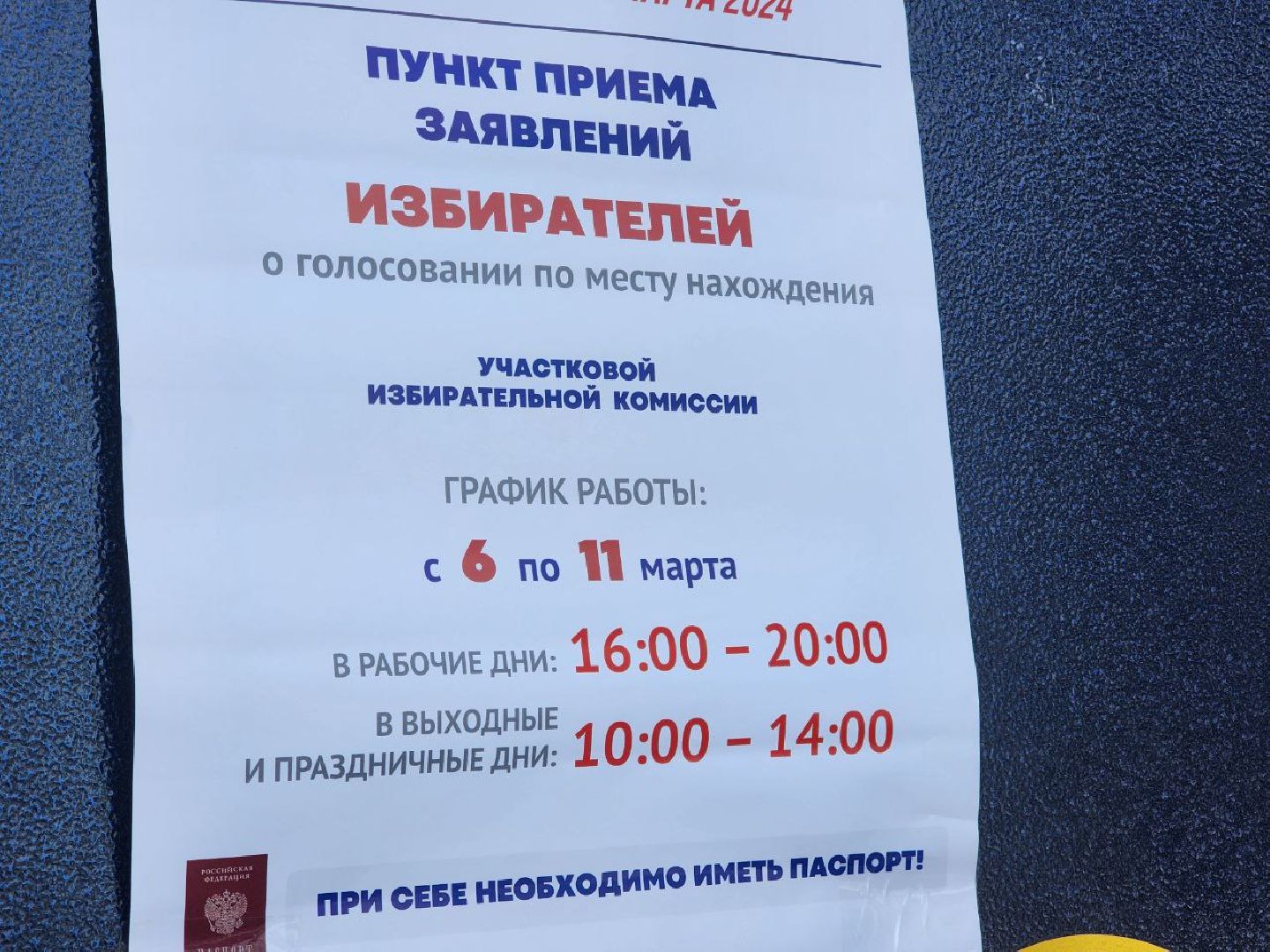 Солнечногорск, выборы президента 2024, избирательные участки, Подготовка к выборам, Выборы,