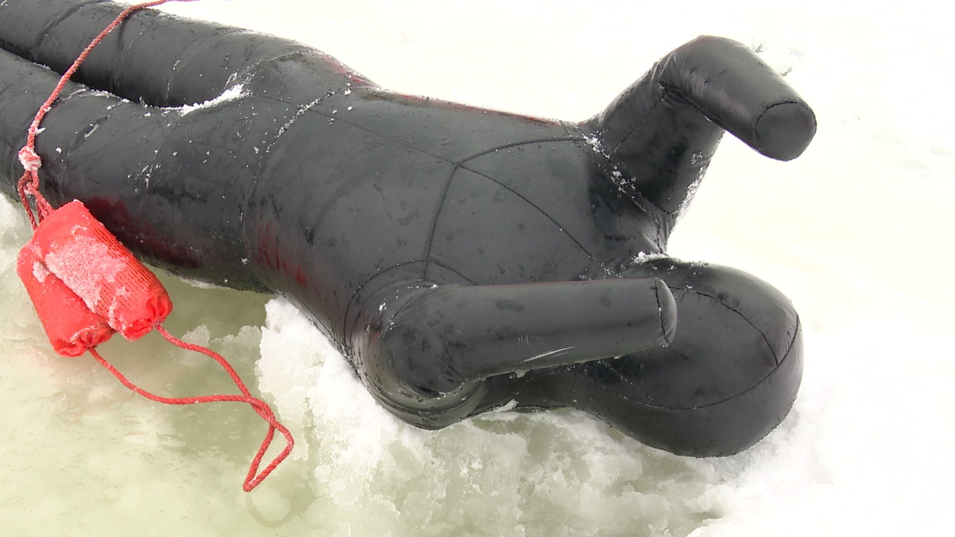 Реутов, МЧС, спасение утопающих, полынья, опасный лед, вода,