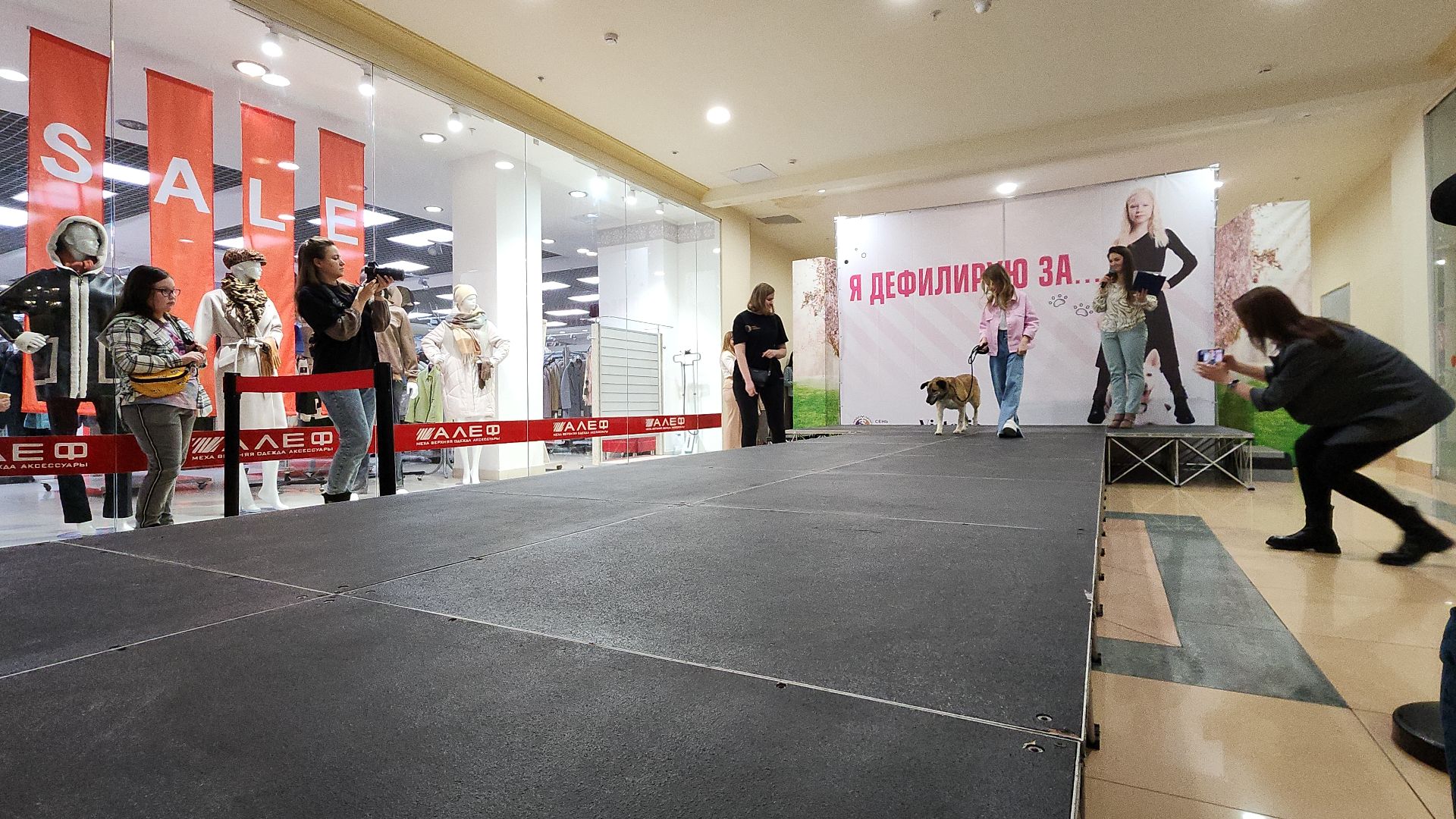 электросталь, мой город, жители города, питомник, собаки, торговый центр, благотворительность,