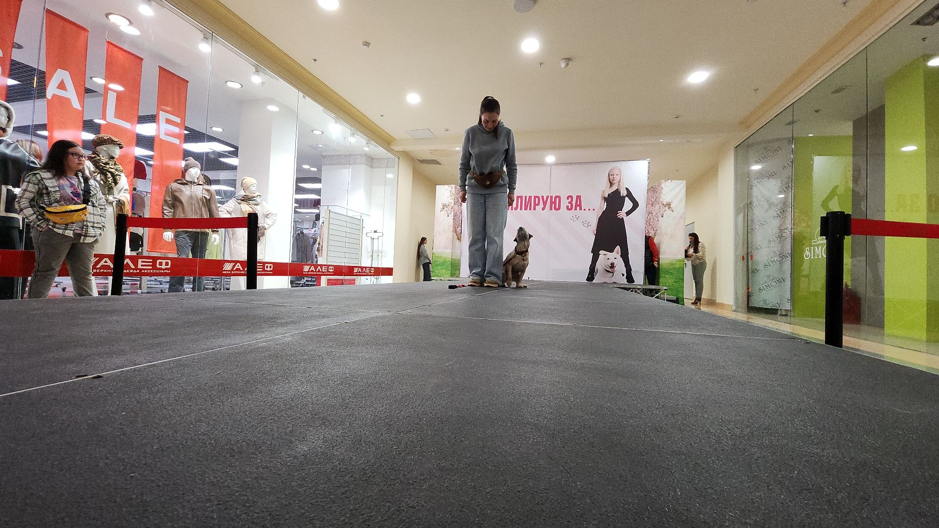 электросталь, мой город, жители города, питомник, собаки, торговый центр, благотворительность,