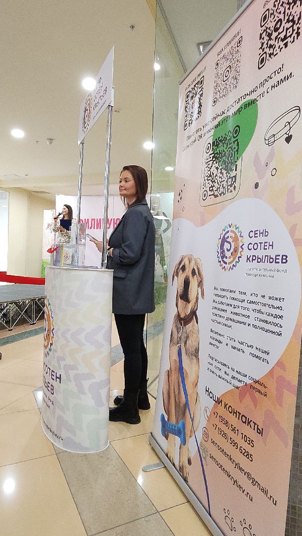 электросталь, мой город, жители города, питомник, собаки, торговый центр, благотворительность,