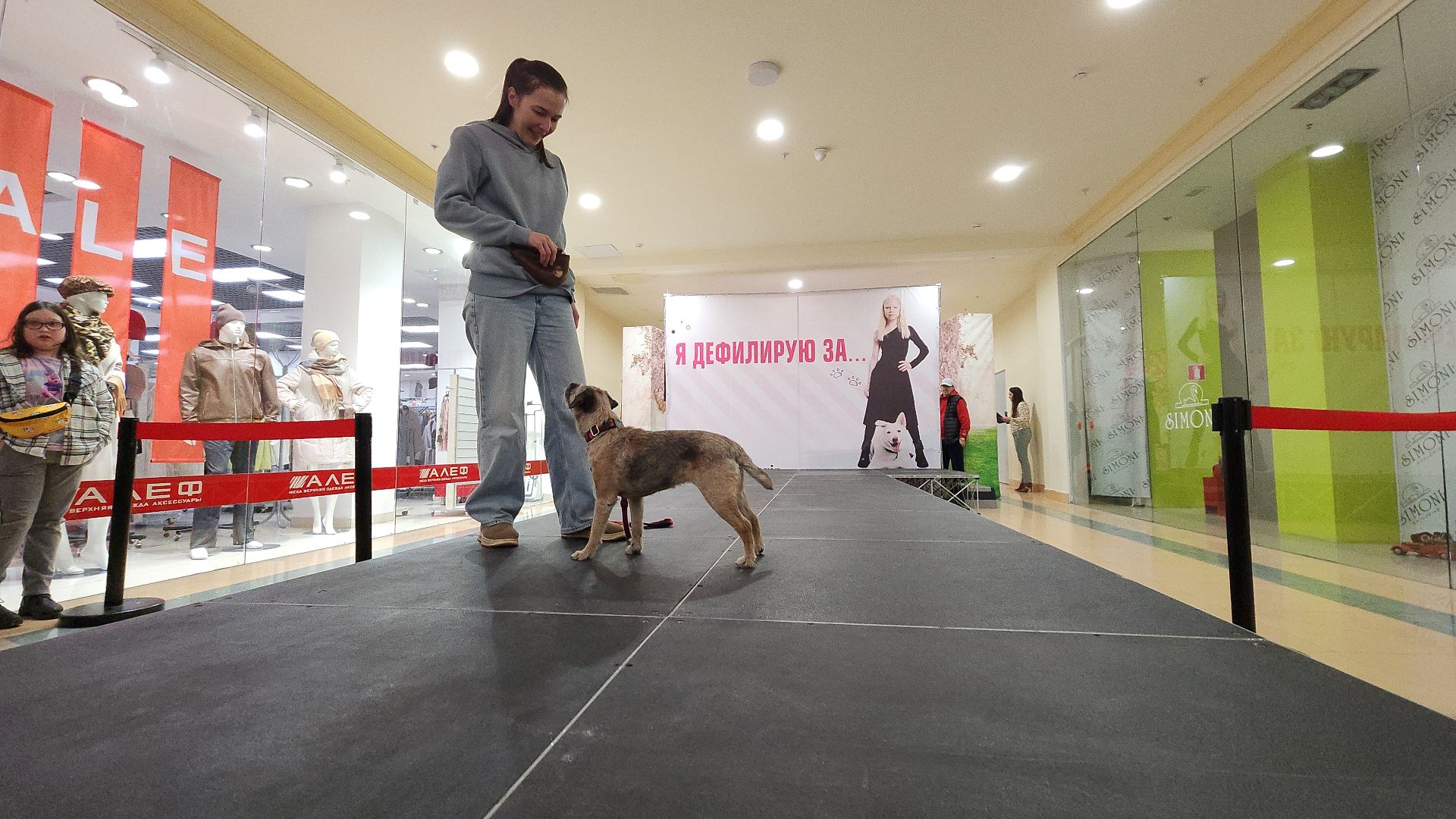 электросталь, мой город, жители города, питомник, собаки, торговый центр, благотворительность,
