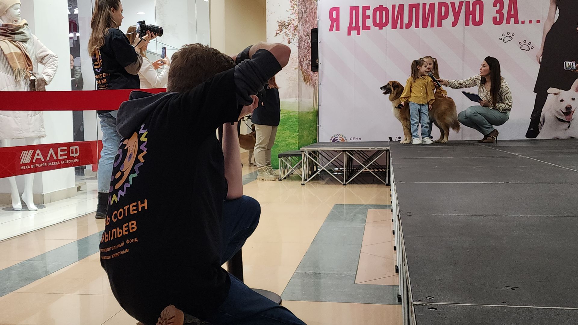 электросталь, мой город, жители города, питомник, собаки, торговый центр, благотворительность,