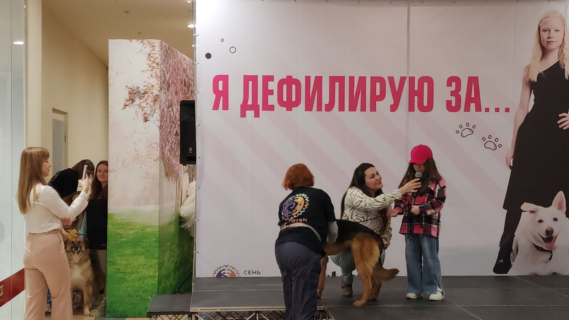 электросталь, мой город, жители города, питомник, собаки, торговый центр, благотворительность,