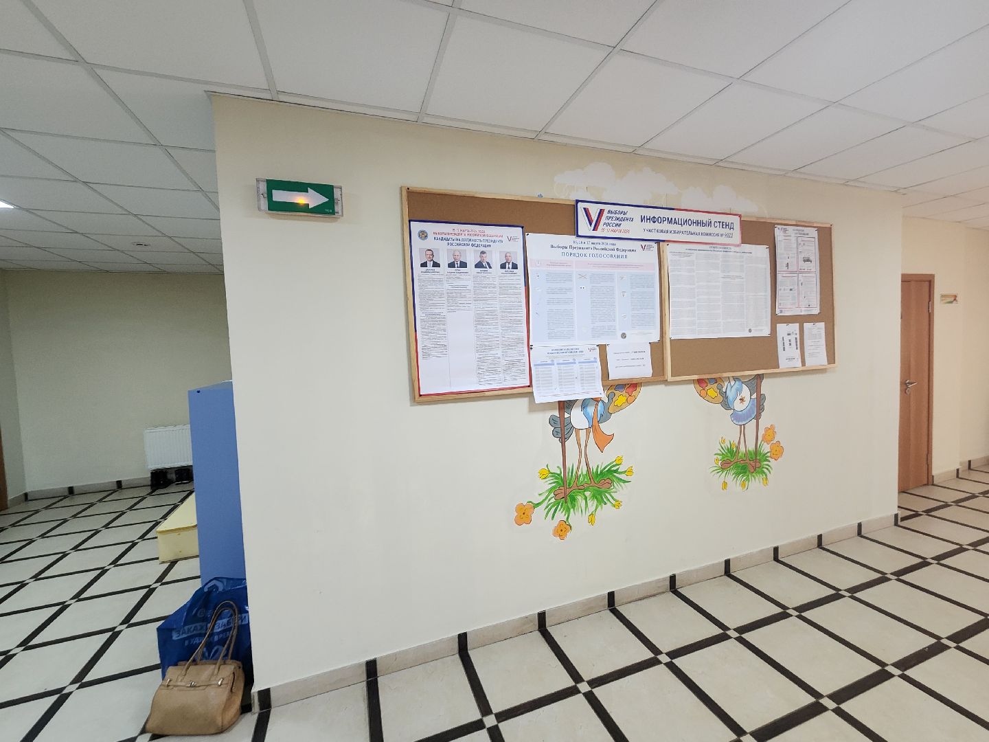 пушкино, выборы президента 2024, голосование, избирательные участки,