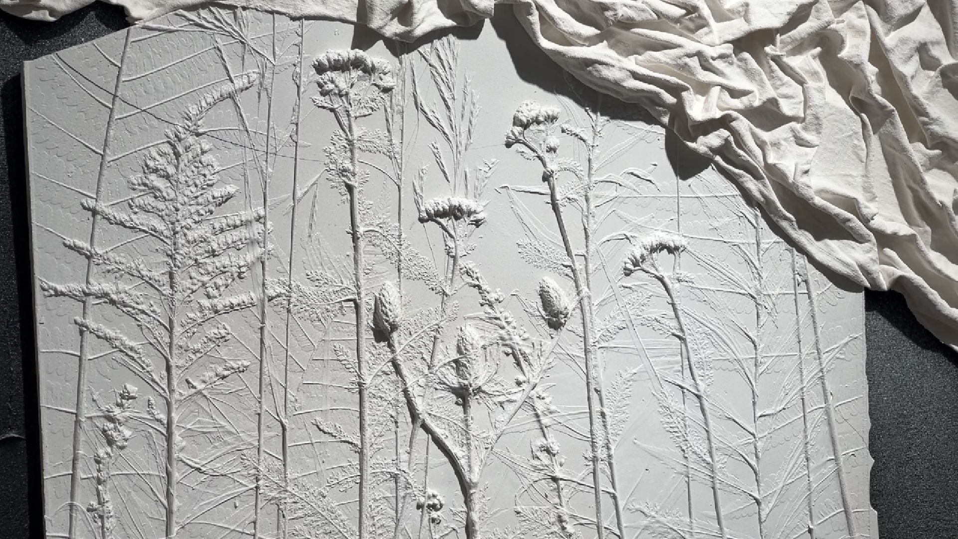 химки, культура, выставка,